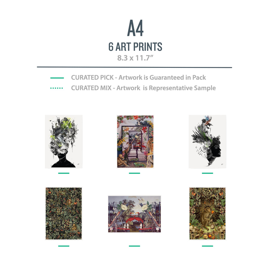 A4 NATURE Pack (Flora Fauna) - 6 Prints