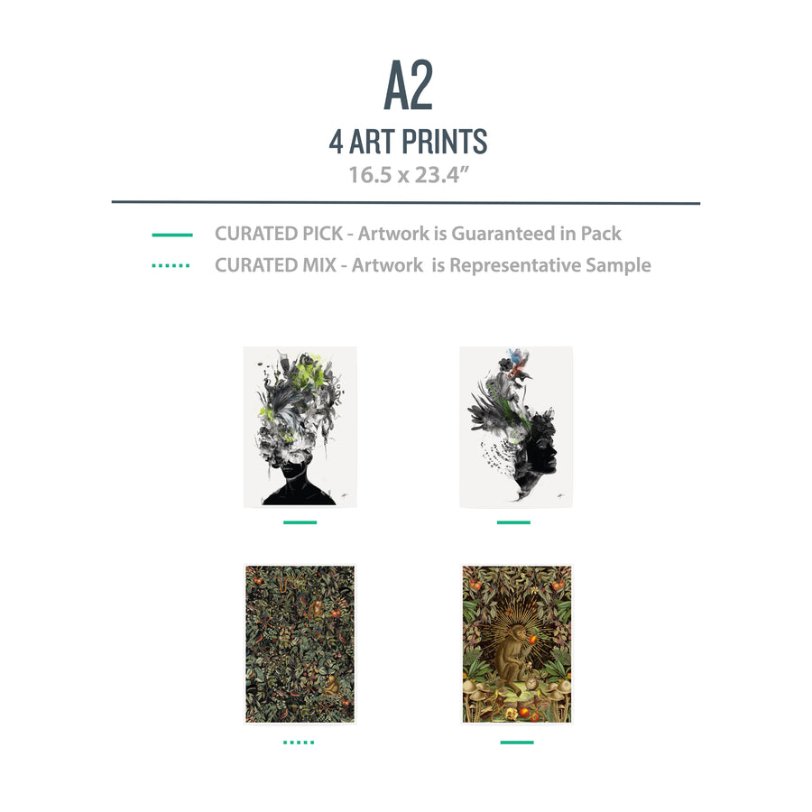 A2 NATURE Pack (Flora Fauna) - 4 Prints