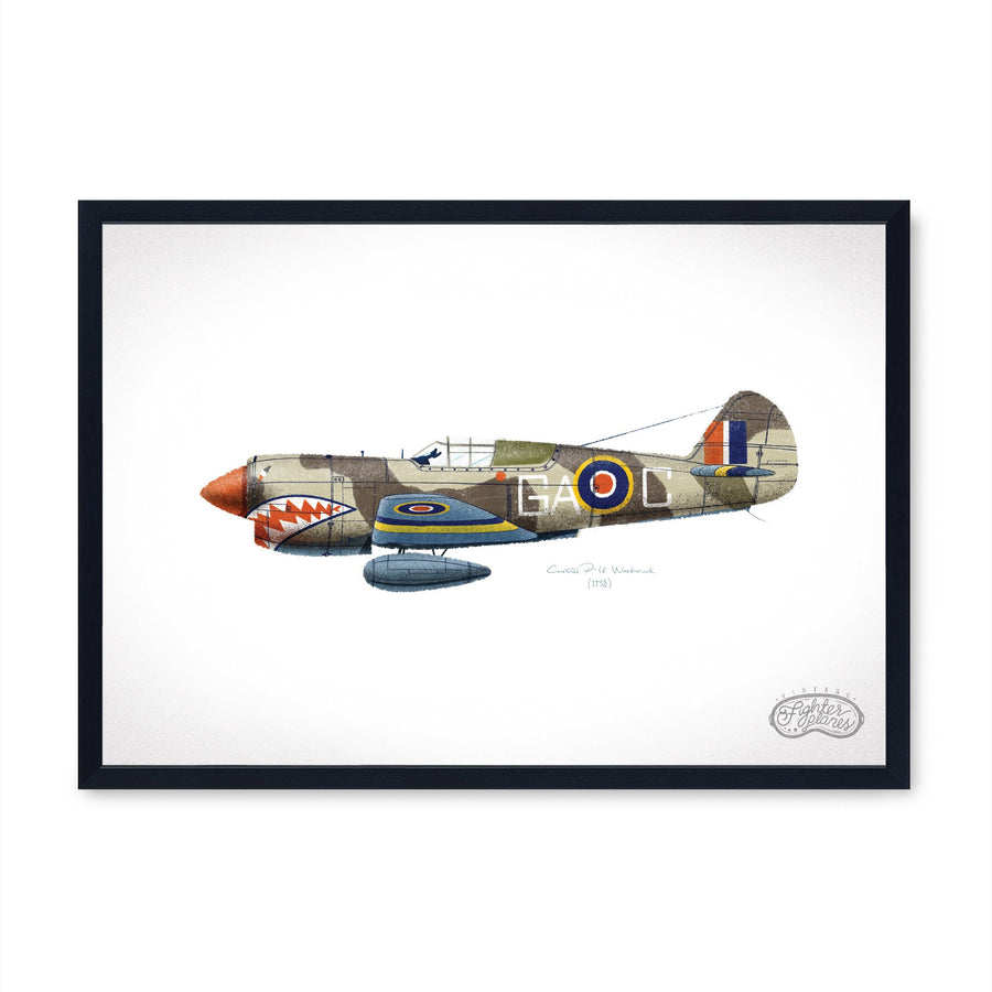 Curtiss Warhawk