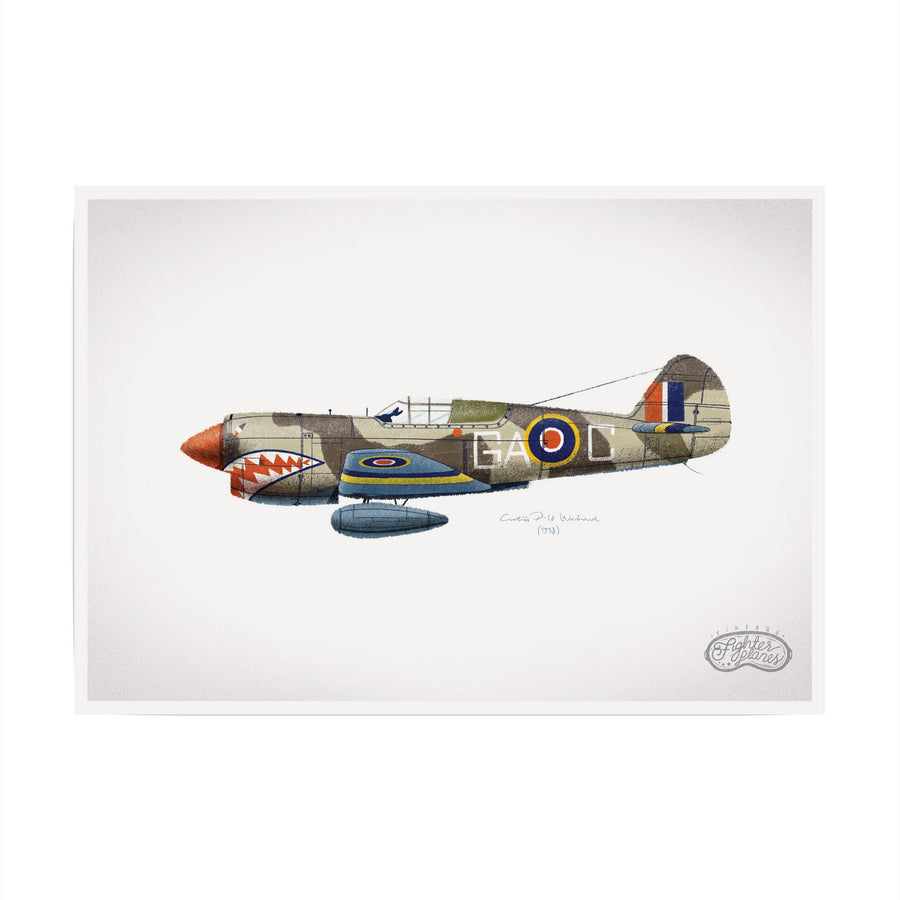 Curtiss Warhawk