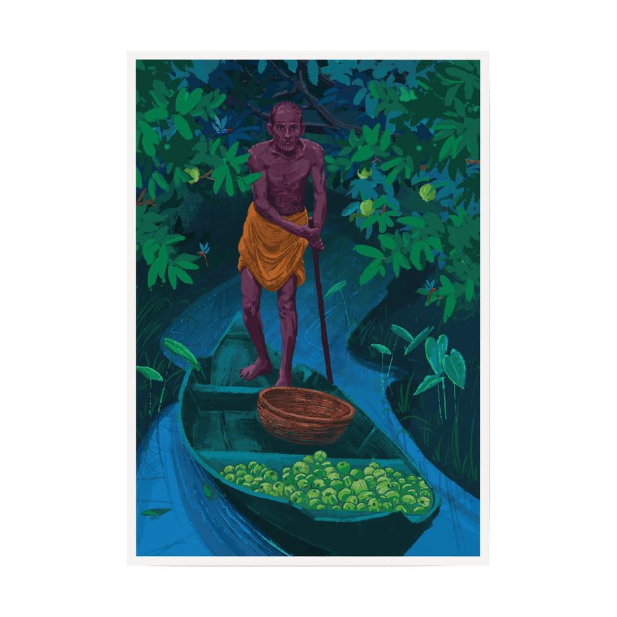 Guava Harvest