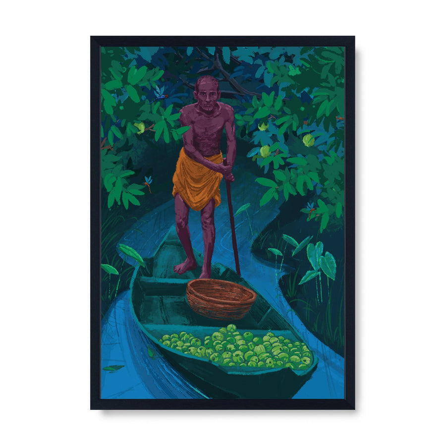 Guava Harvest