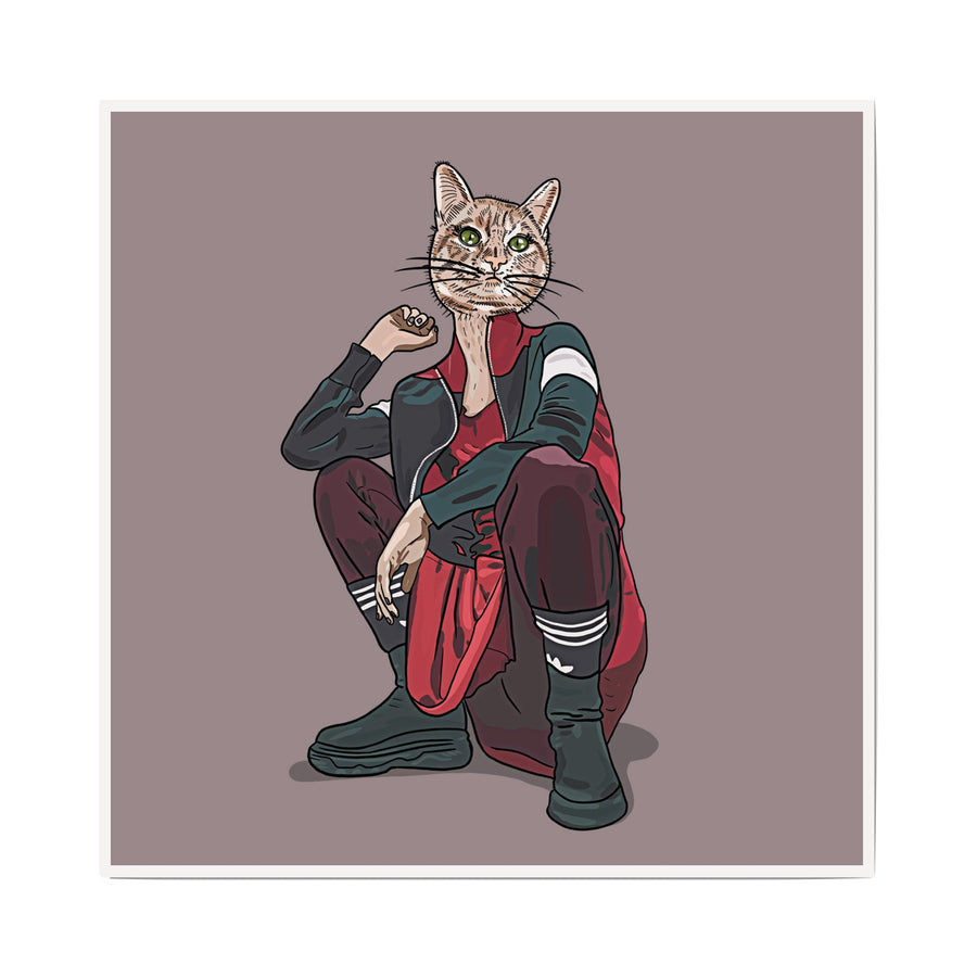 Urban Cat