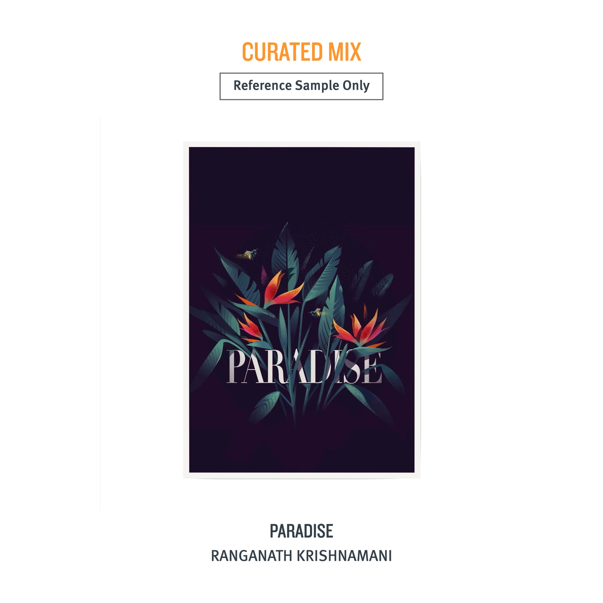 A2 DESIGN Pack (Typography) - 4 Prints