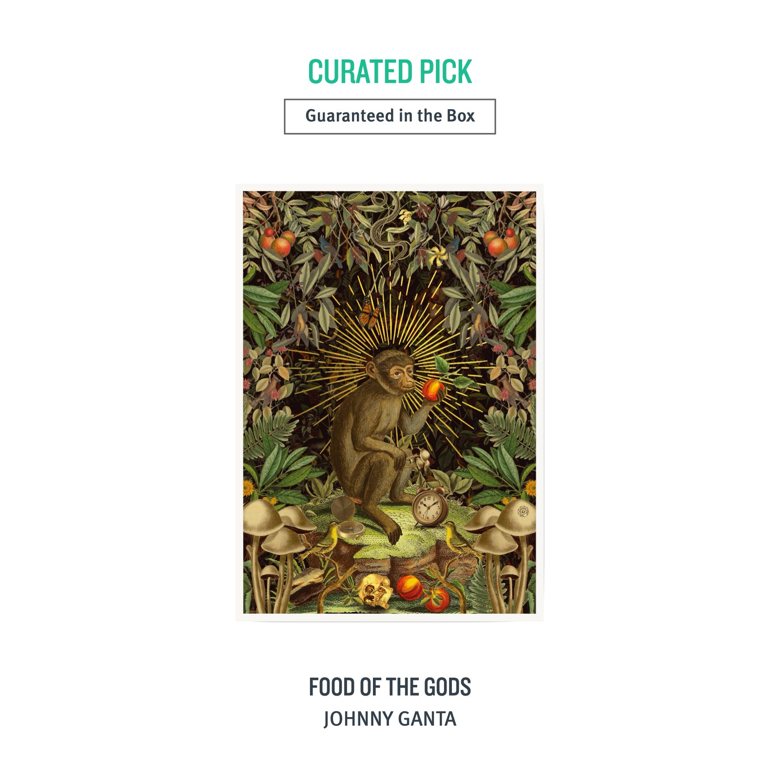 A2 NATURE Box - 10 Prints