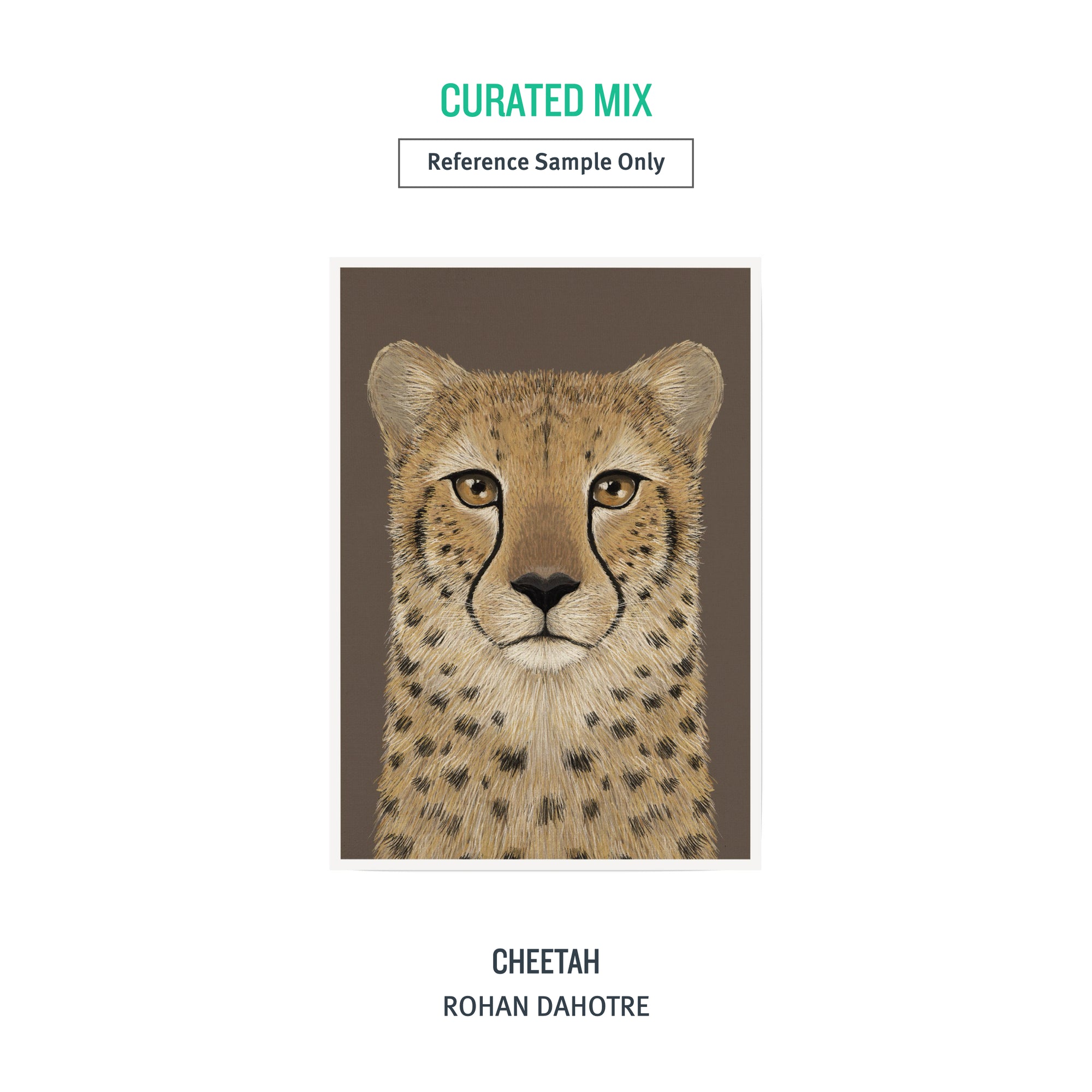 A5 NATURE Pack (Animals) - 8 Prints