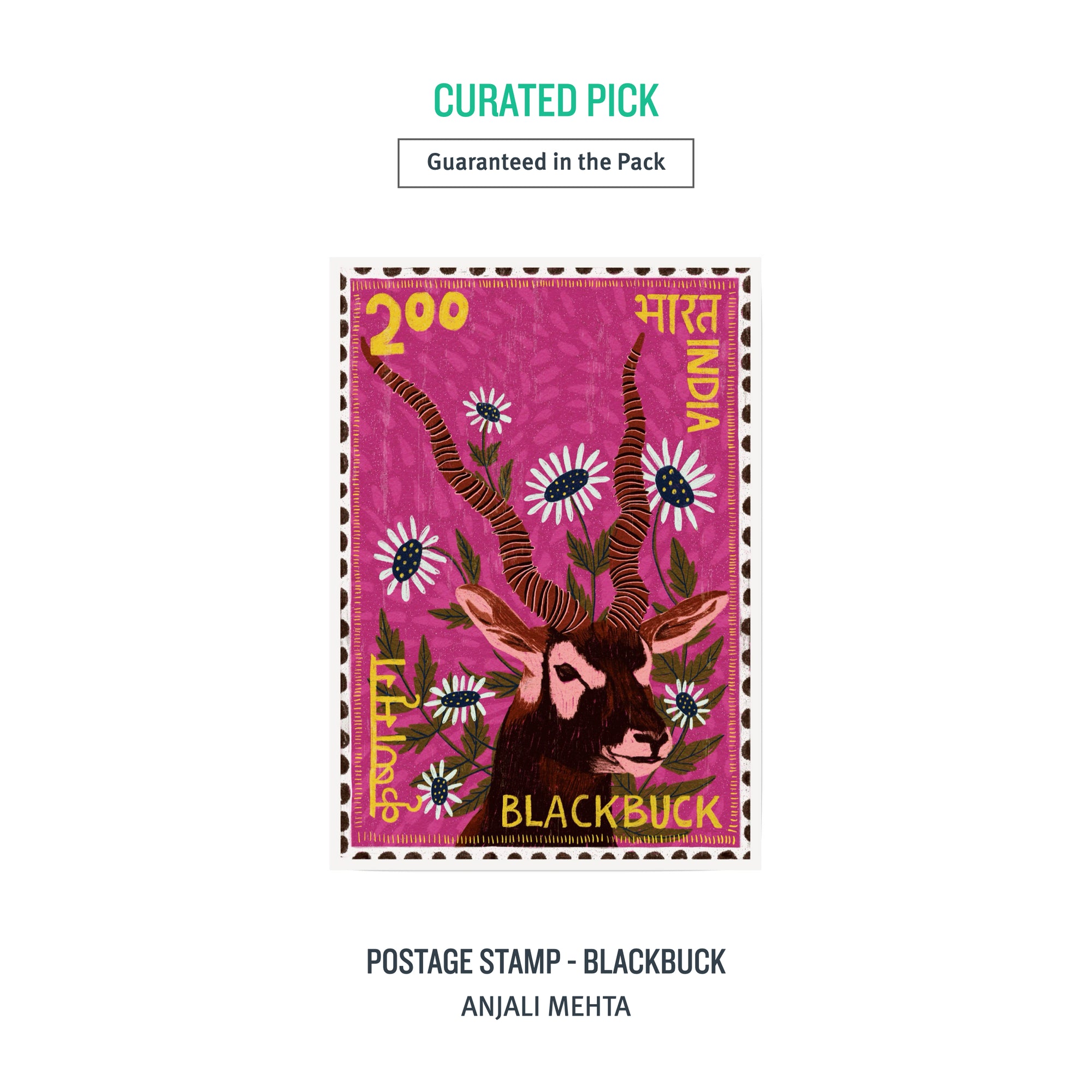 A3 NATURE Pack (Animals) - 5 Prints