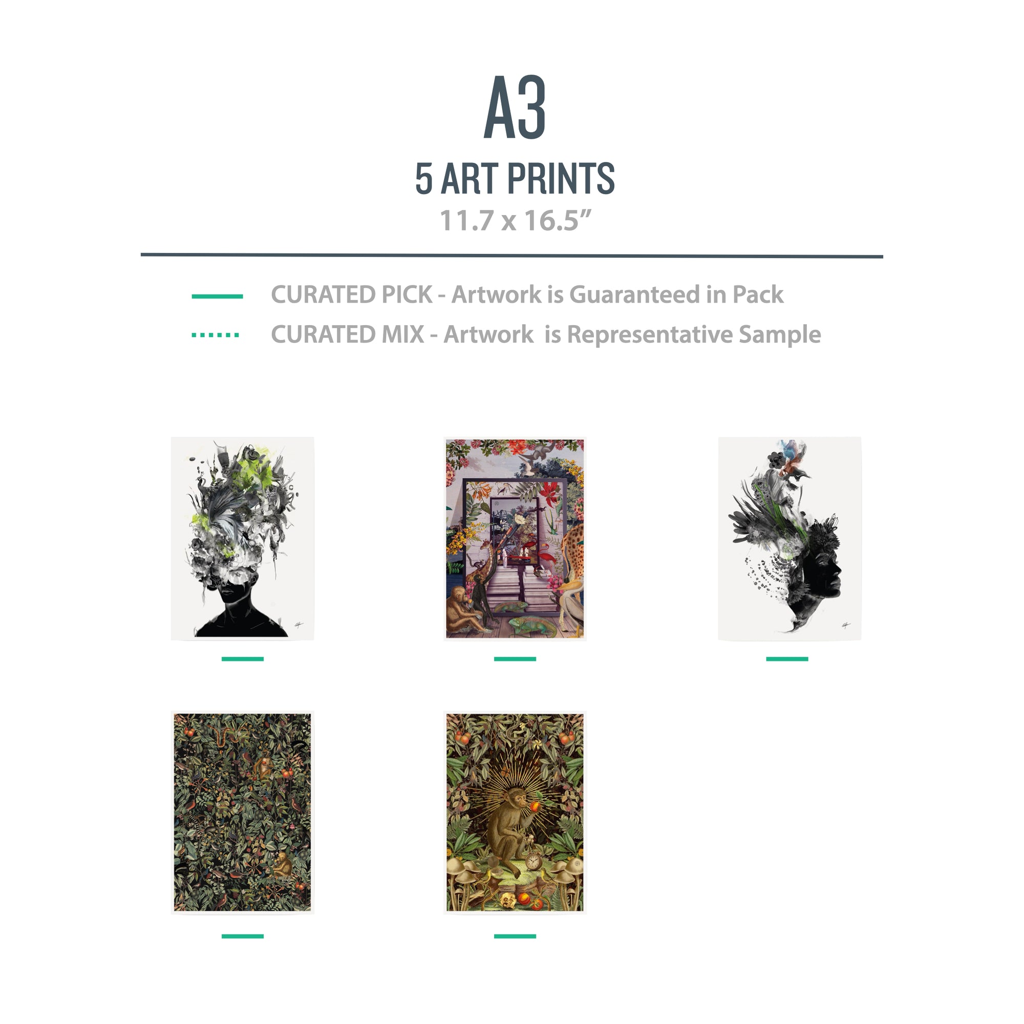A3 NATURE Pack (Flora Fauna) - 5 Prints