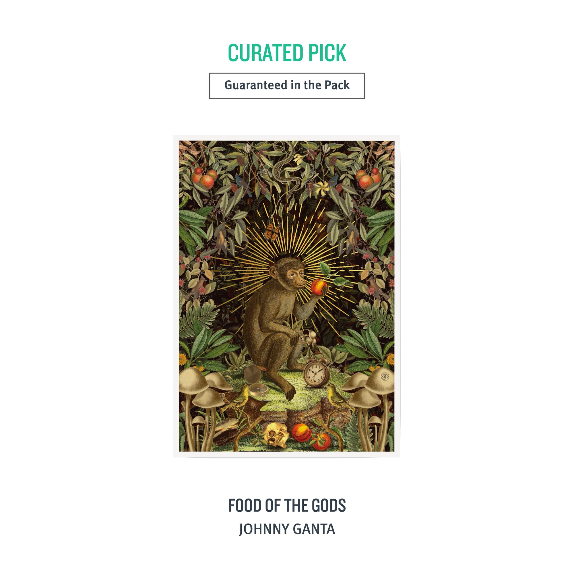 A2 NATURE Pack (Flora Fauna) - 4 Prints