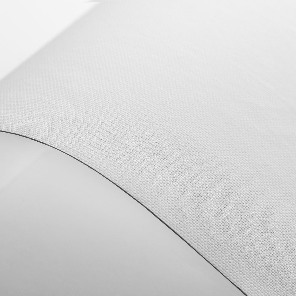 CANVAS PRINT (₹₹)