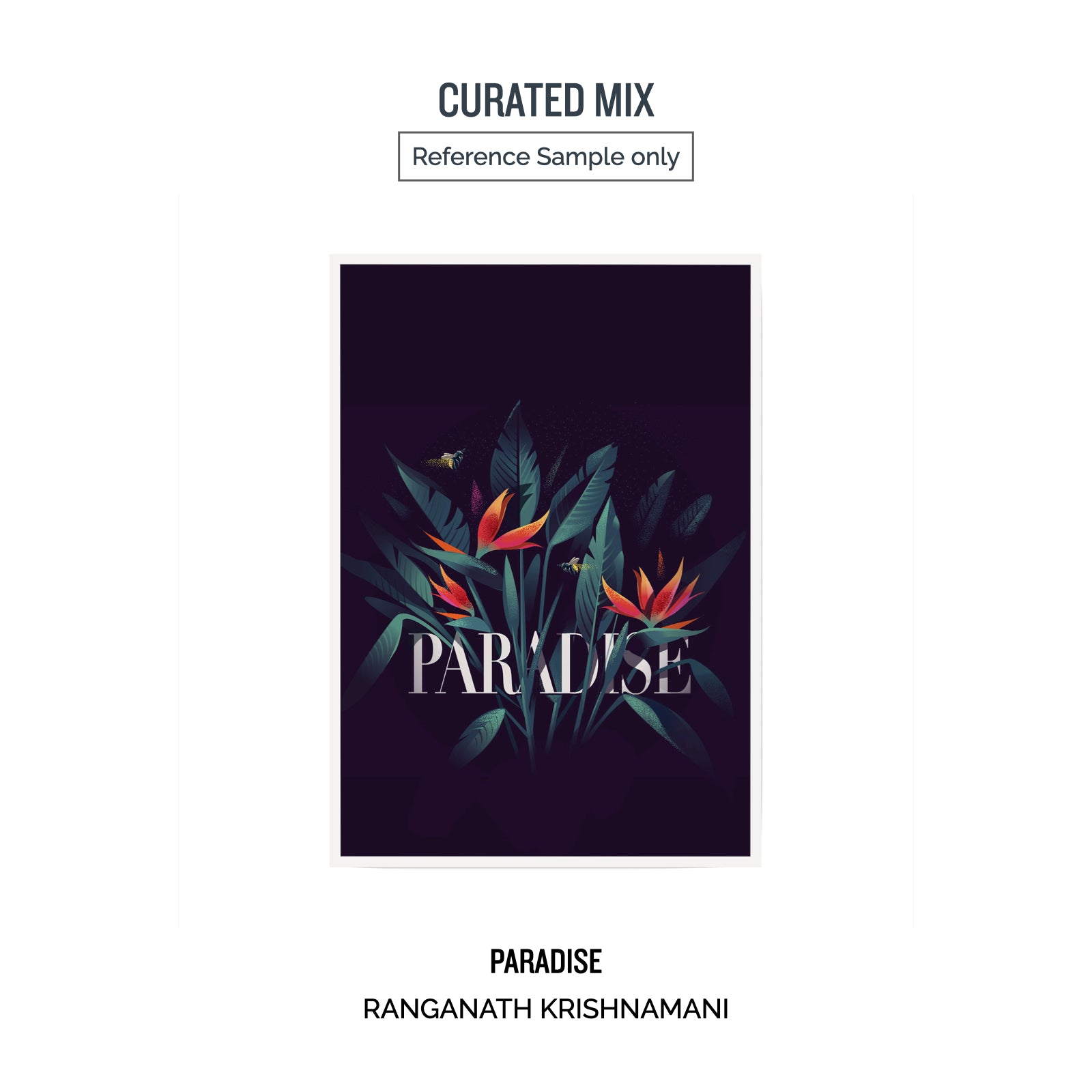 A3 NATURE Box - 12 Prints