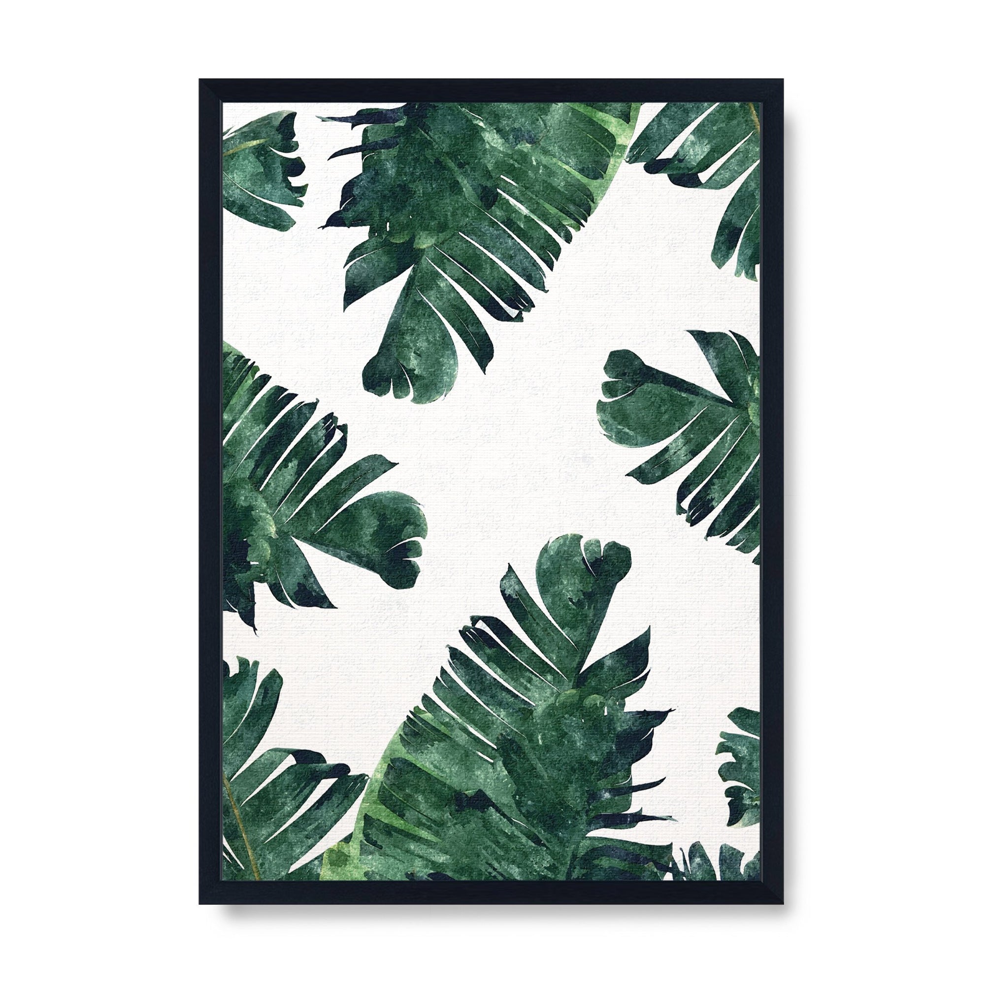 Banana Leaf Watercolour