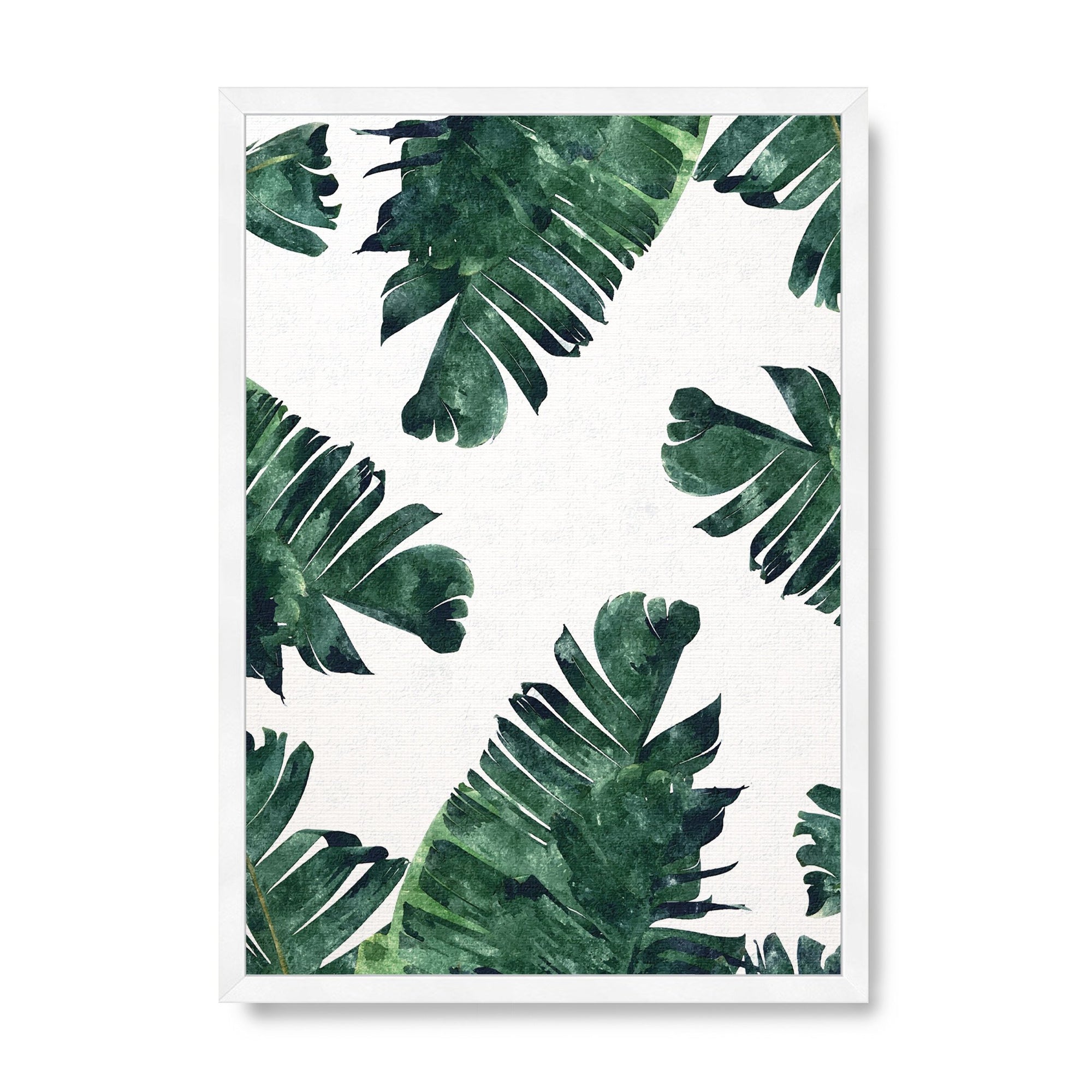 Banana Leaf Watercolour