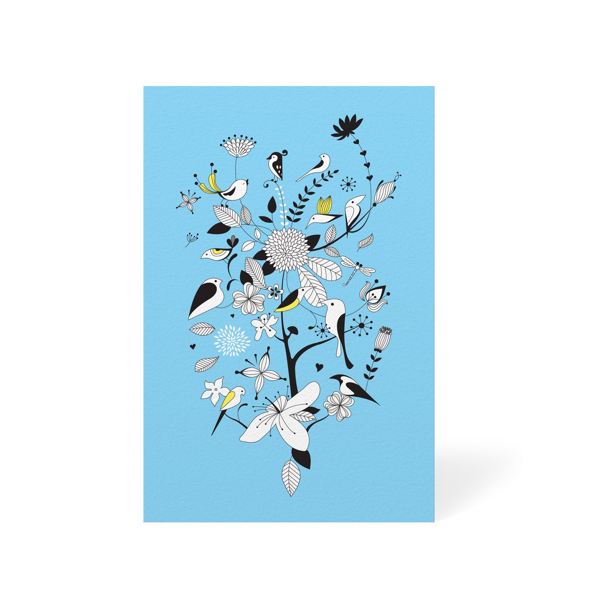 Birds & Branches