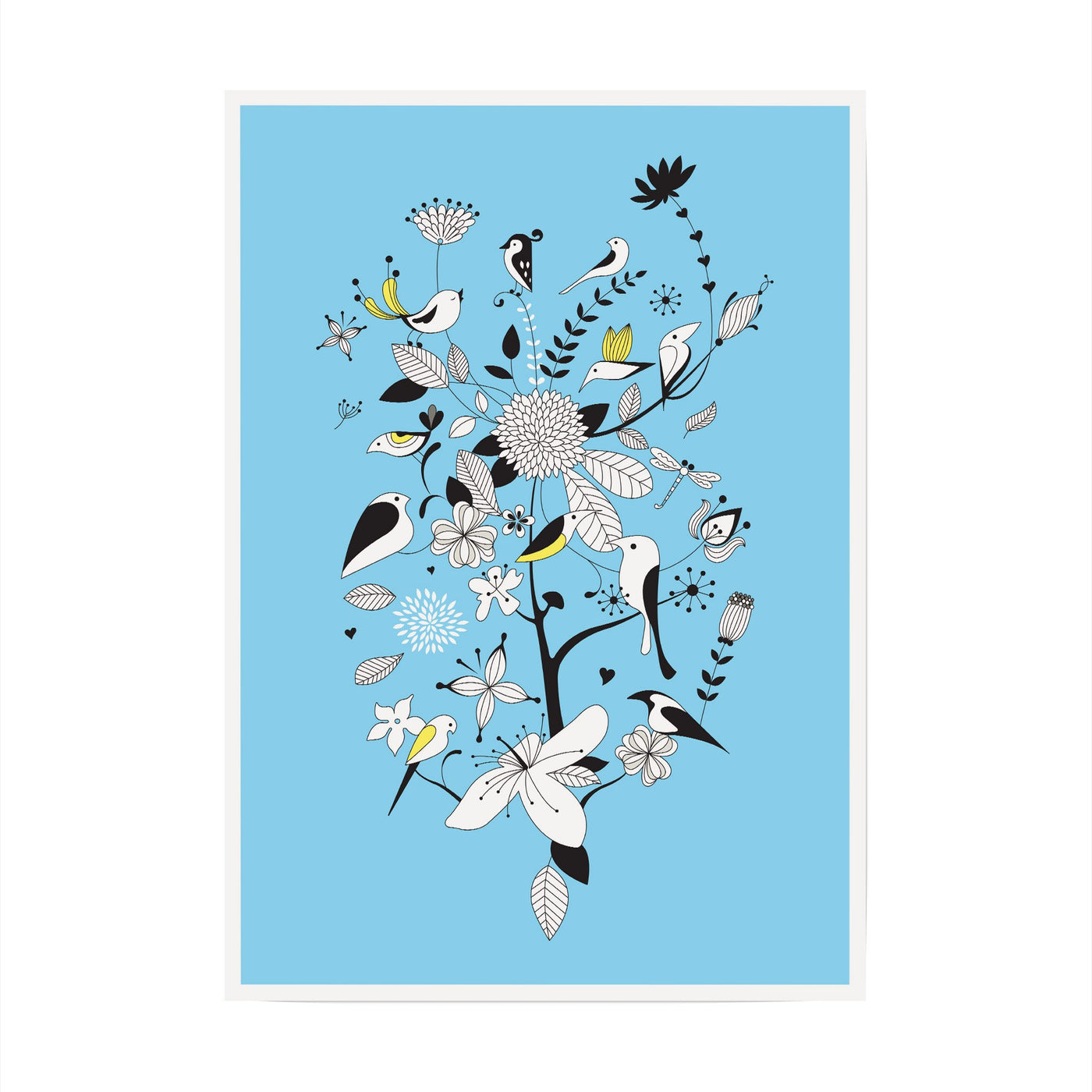 Birds & Branches