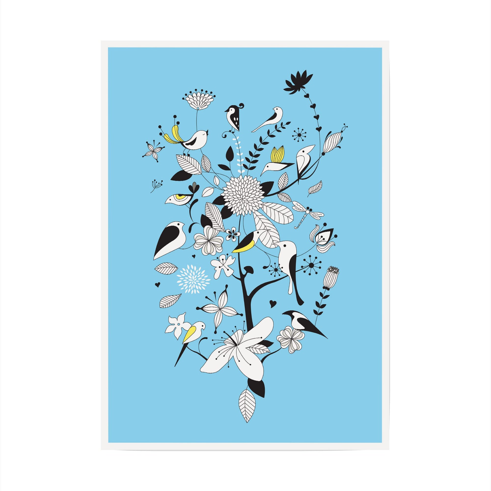 Birds & Branches