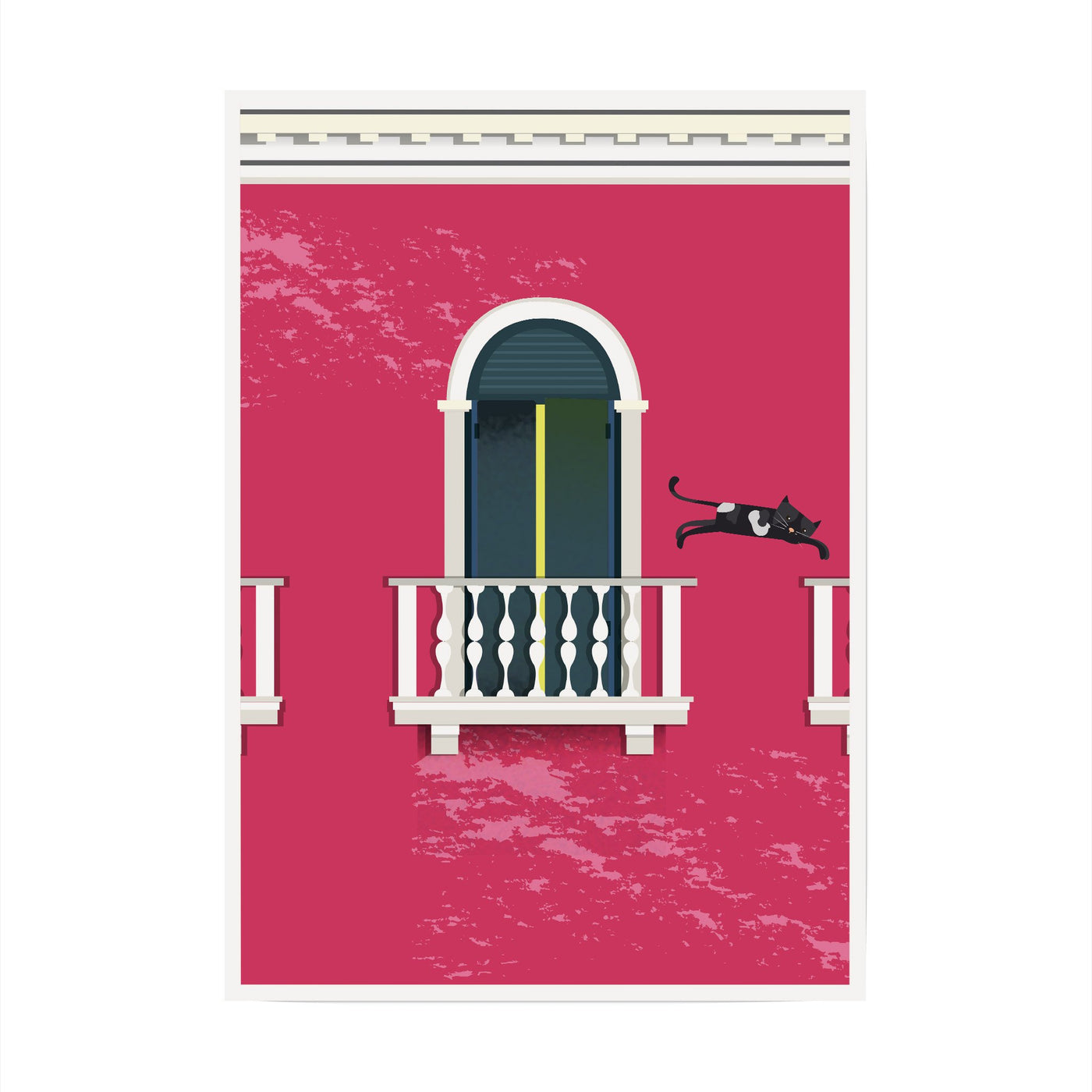 Black Balcony Cat