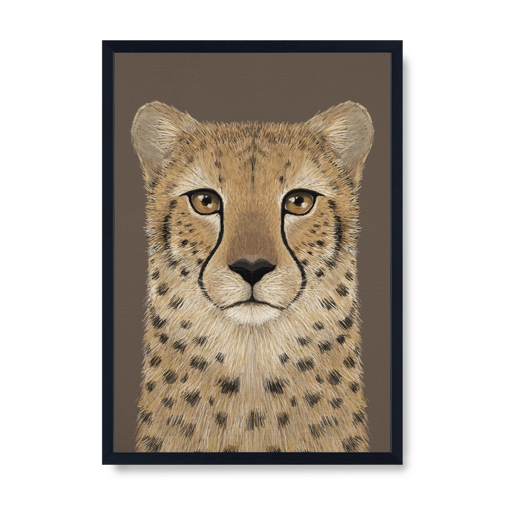 Cheetah