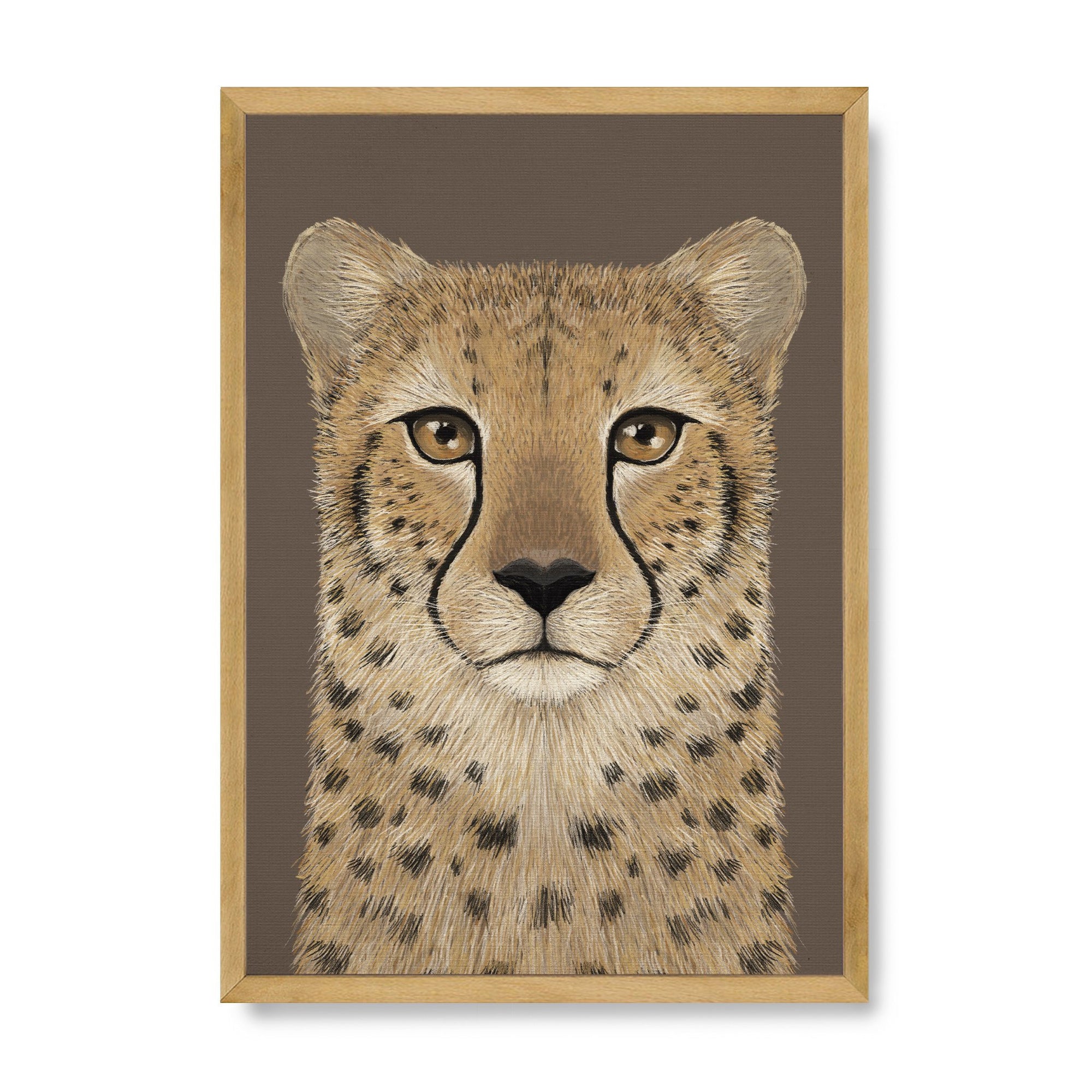 Cheetah