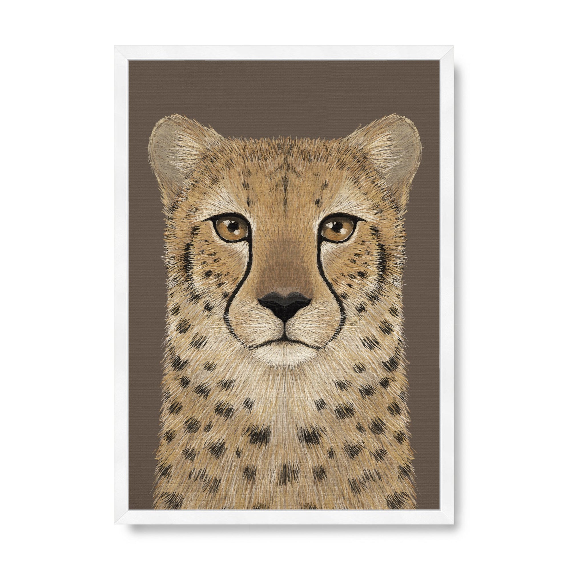 Cheetah