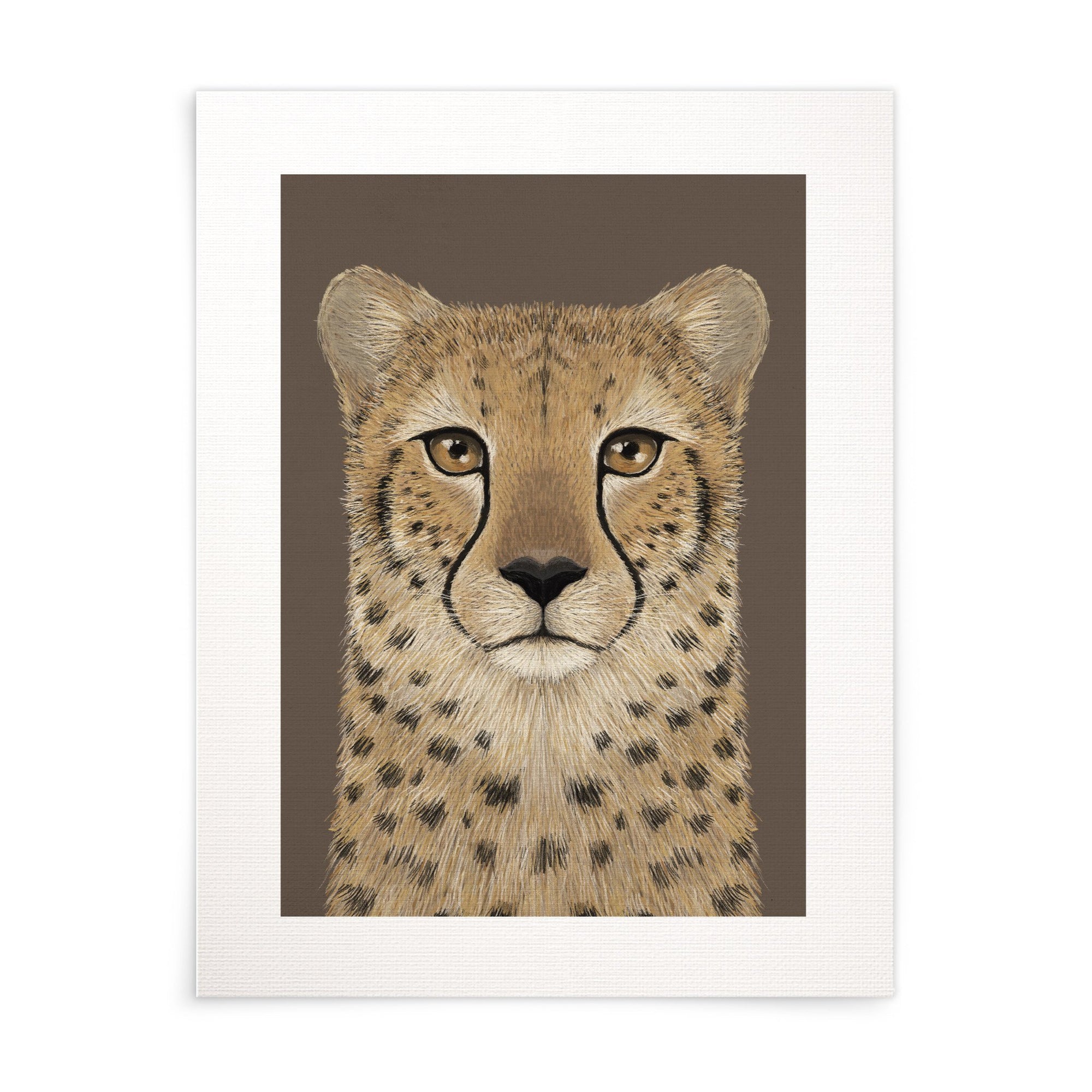 Cheetah