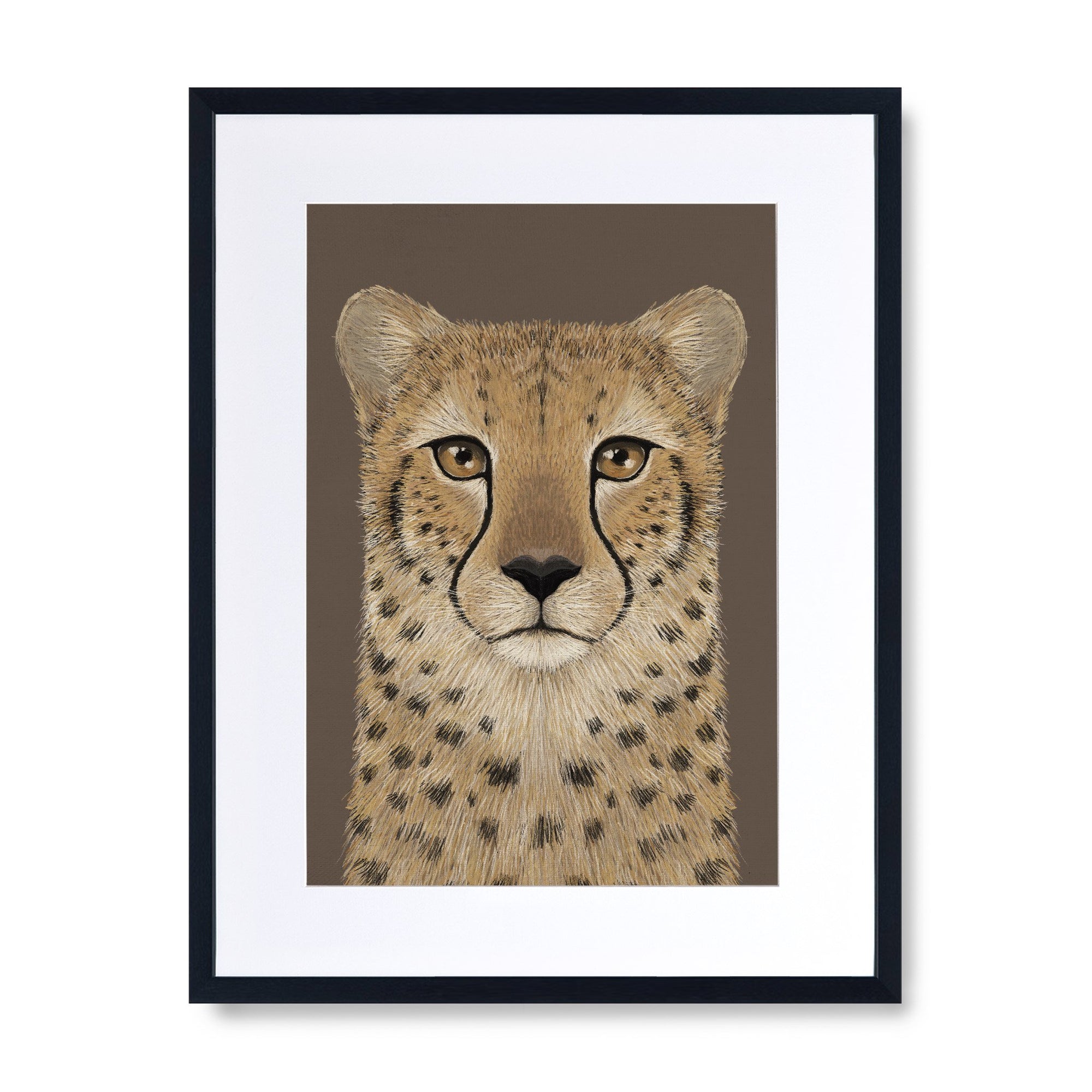 Cheetah