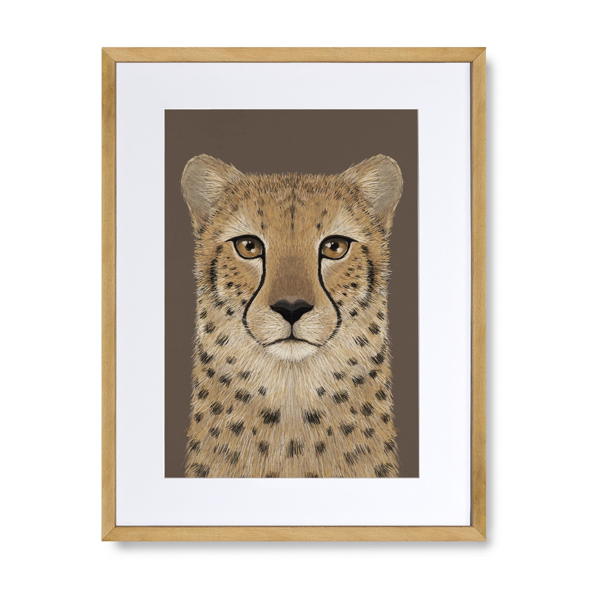Cheetah