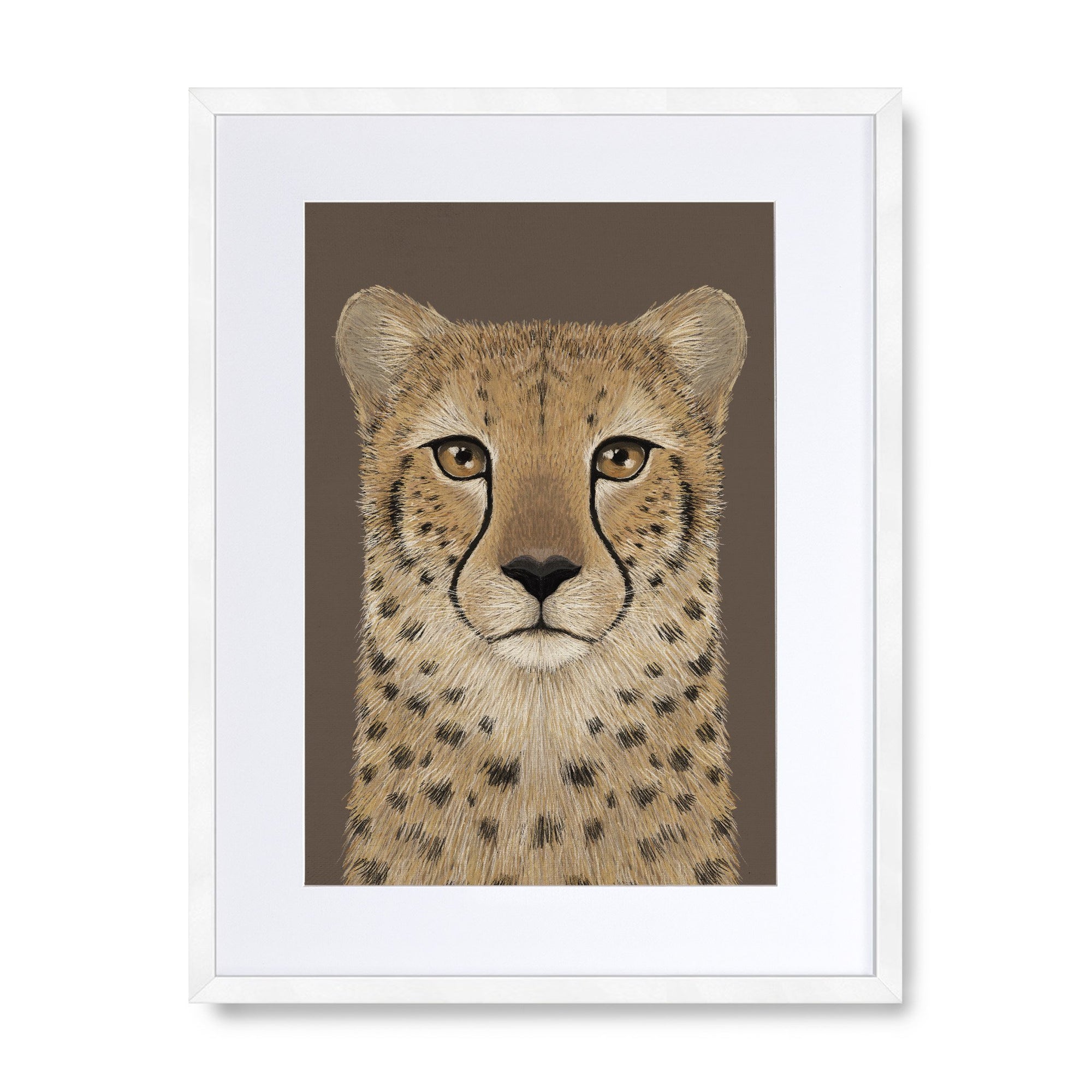 Cheetah