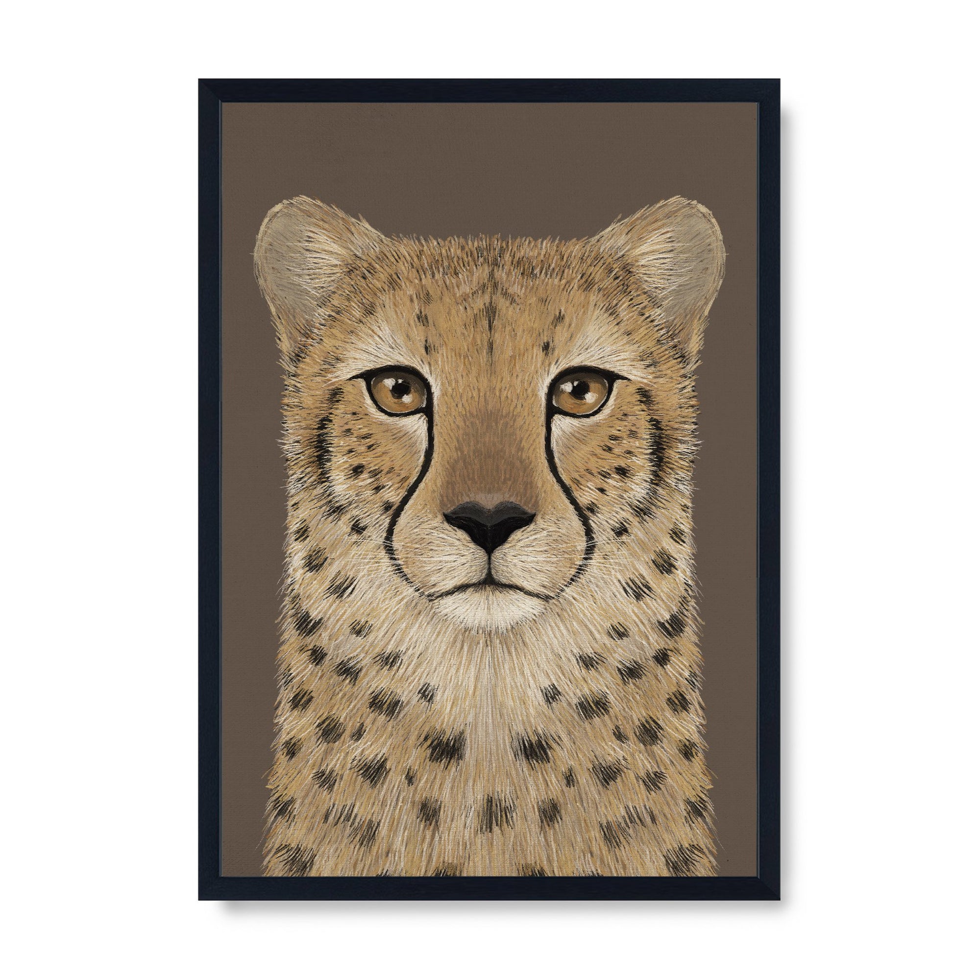Cheetah