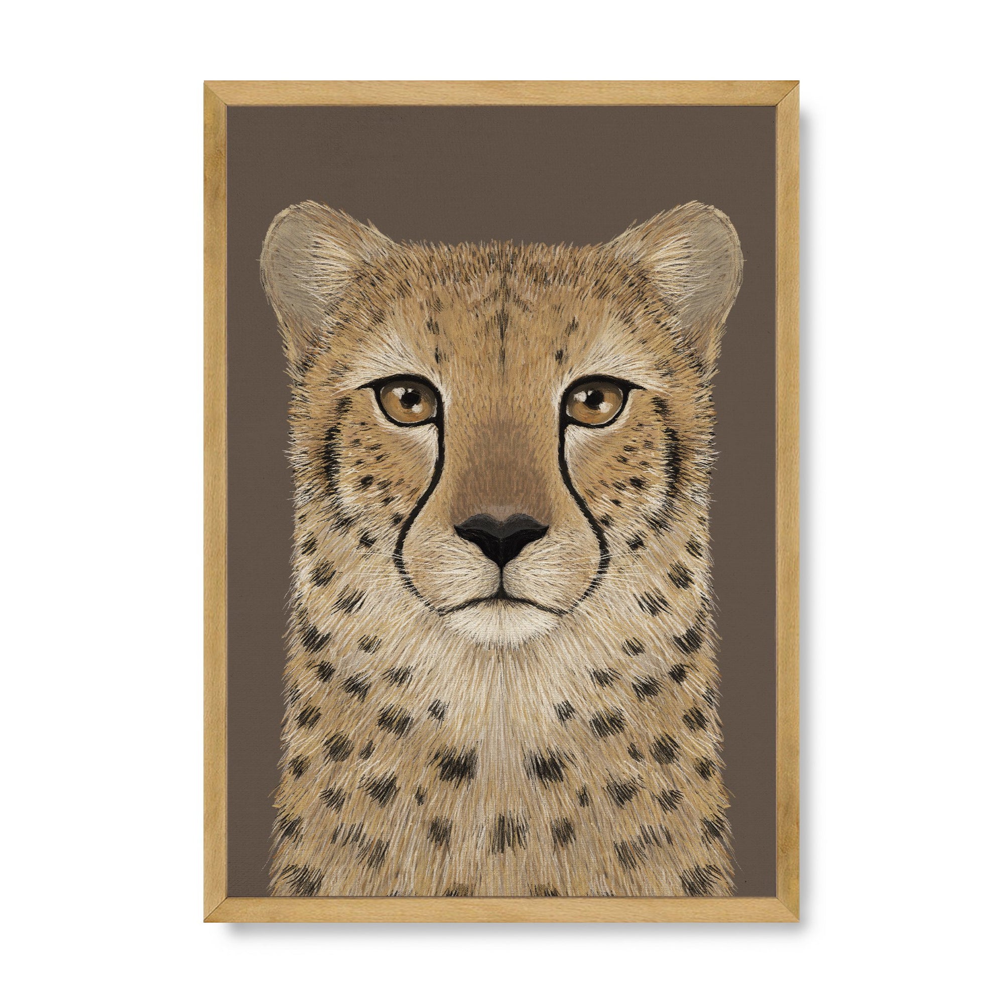 Cheetah