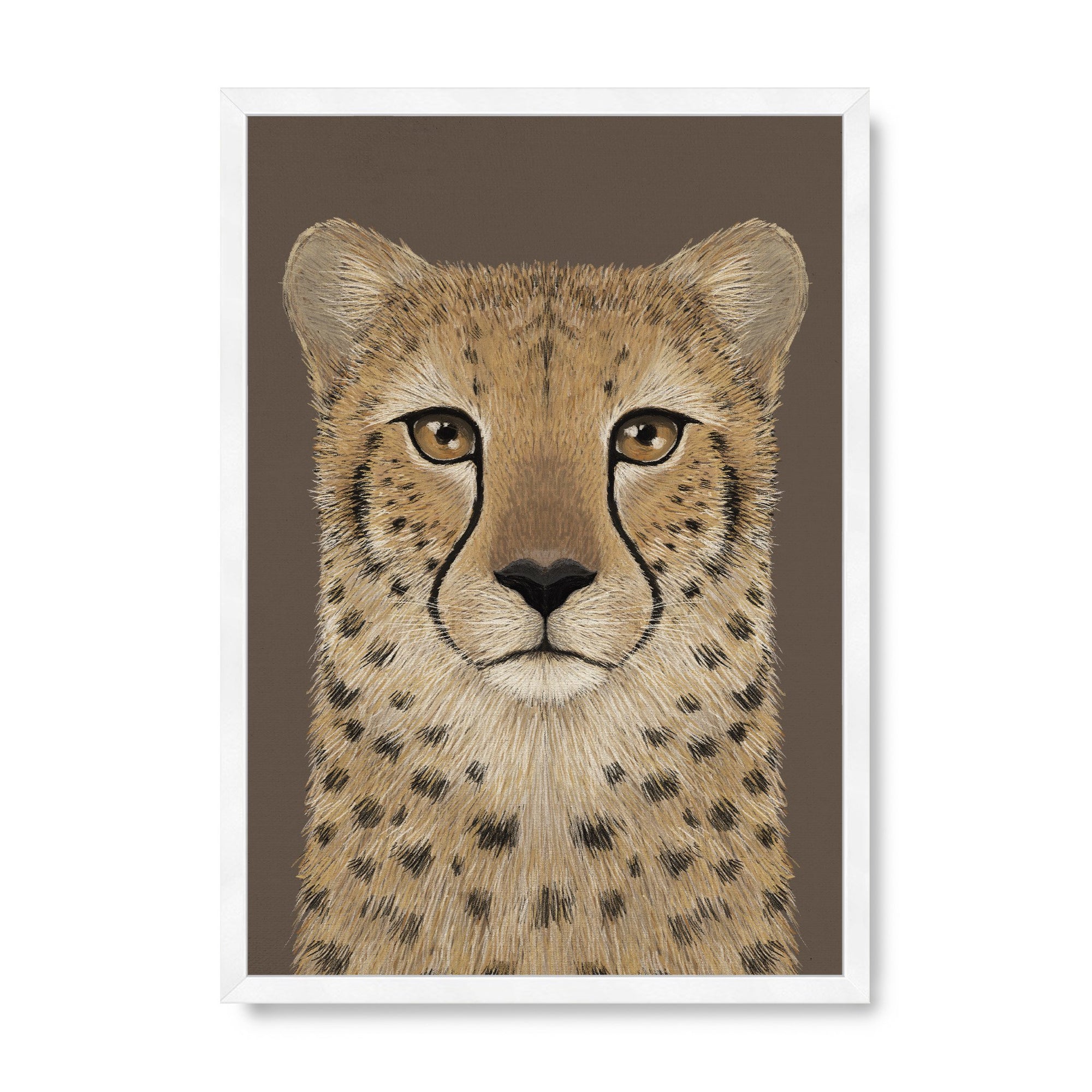 Cheetah