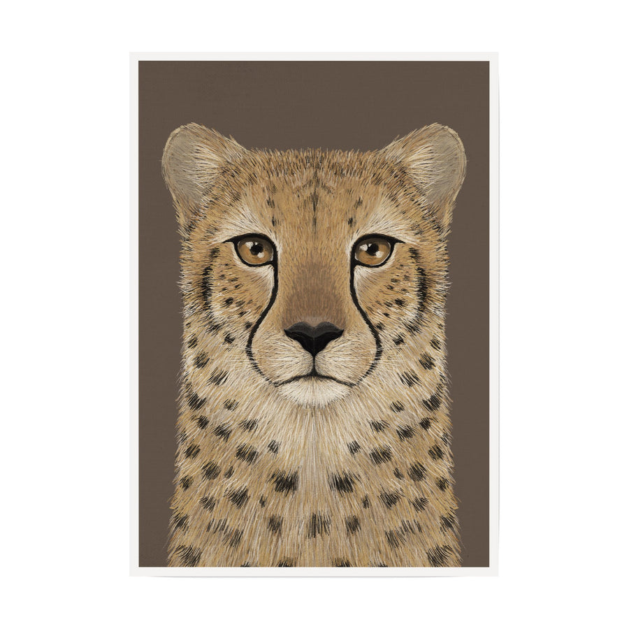 Cheetah