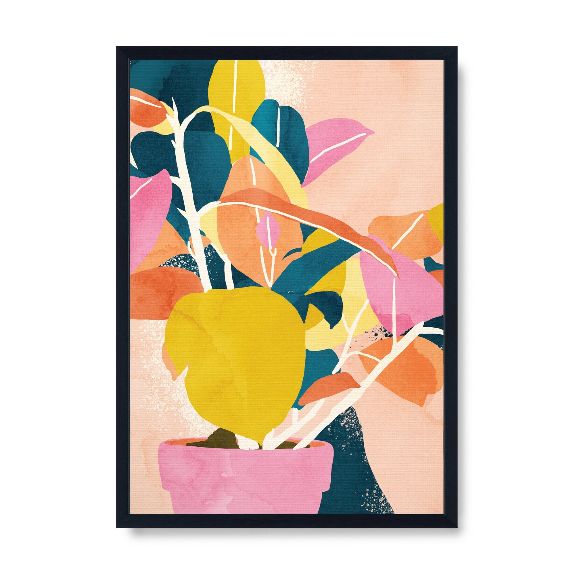 Colours of the Spirit