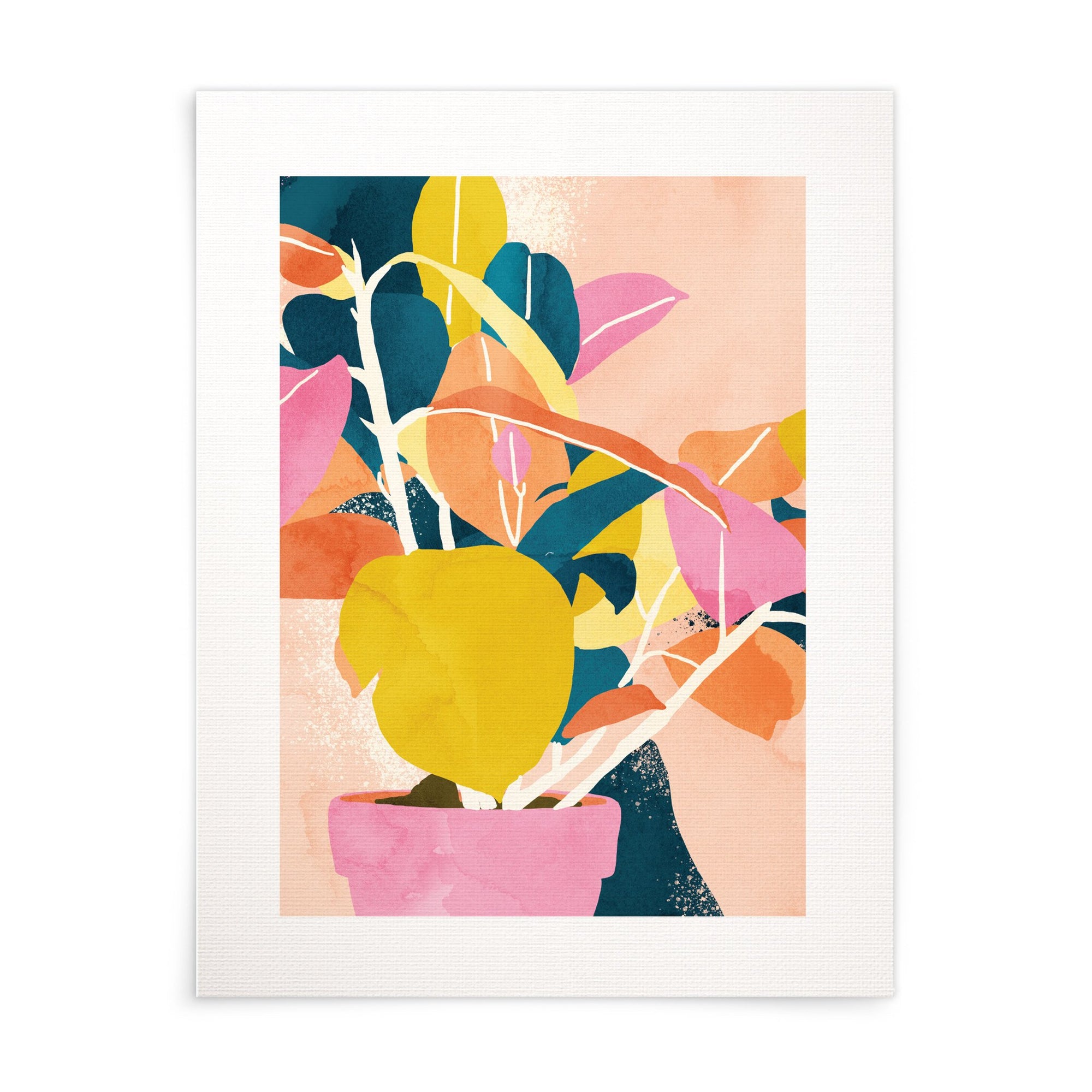 Colours of the Spirit