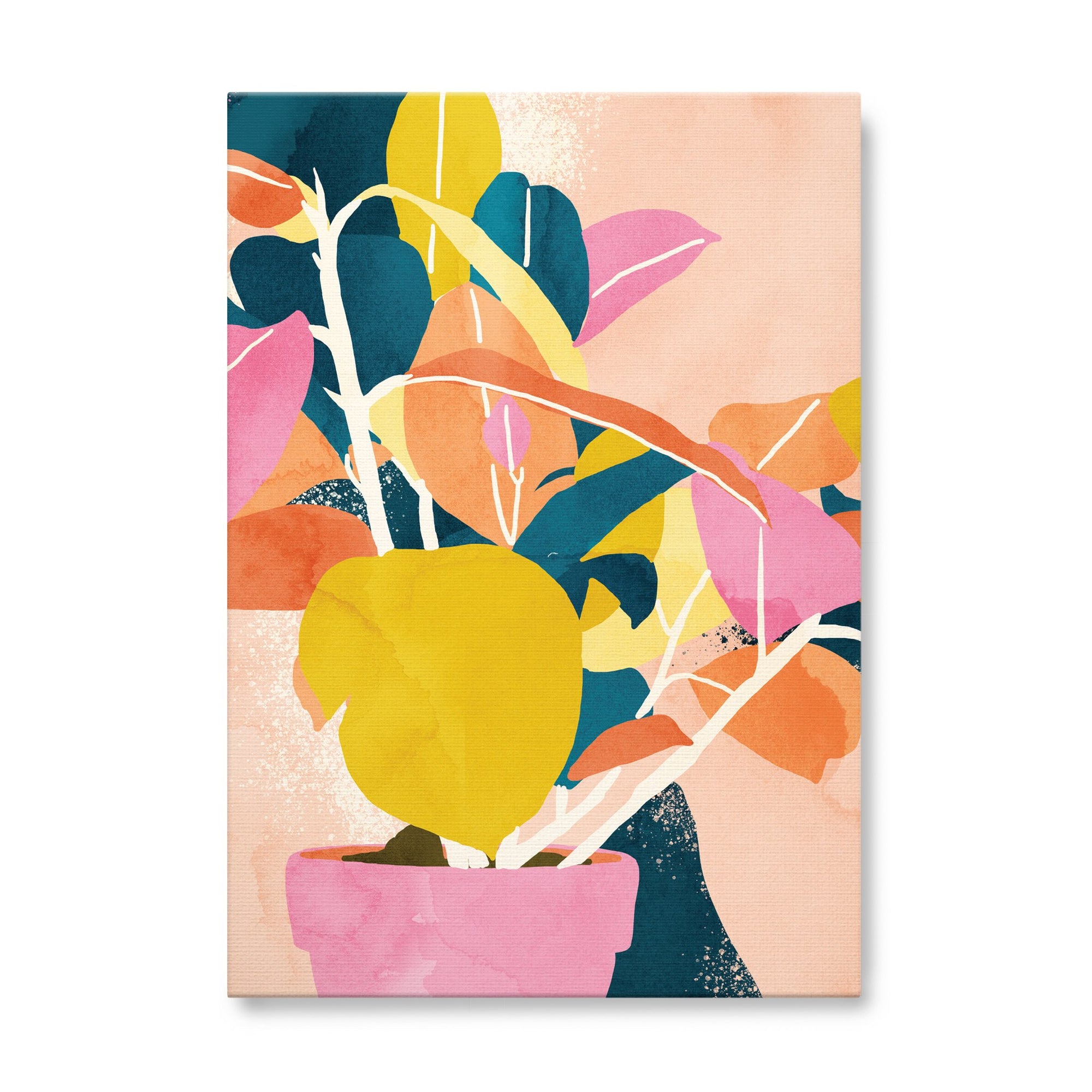 Colours of the Spirit