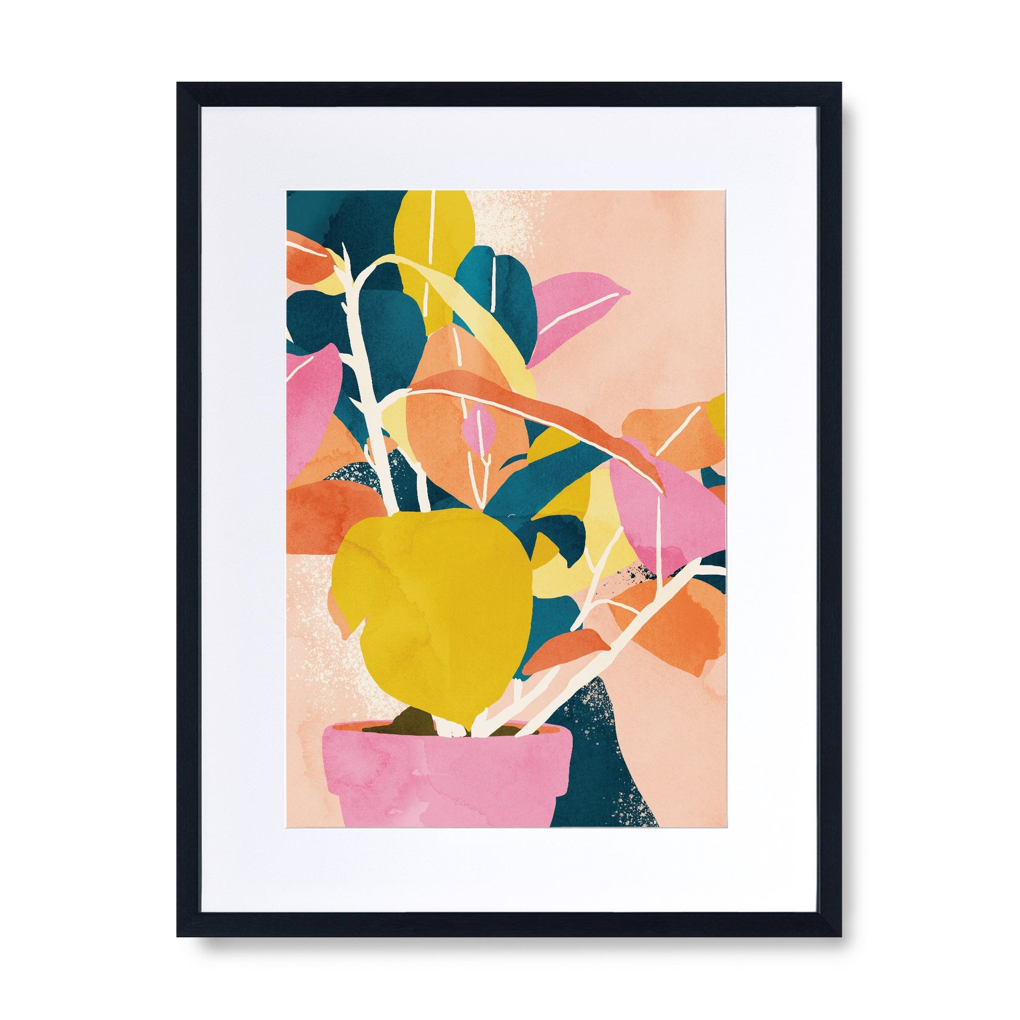 Colours of the Spirit