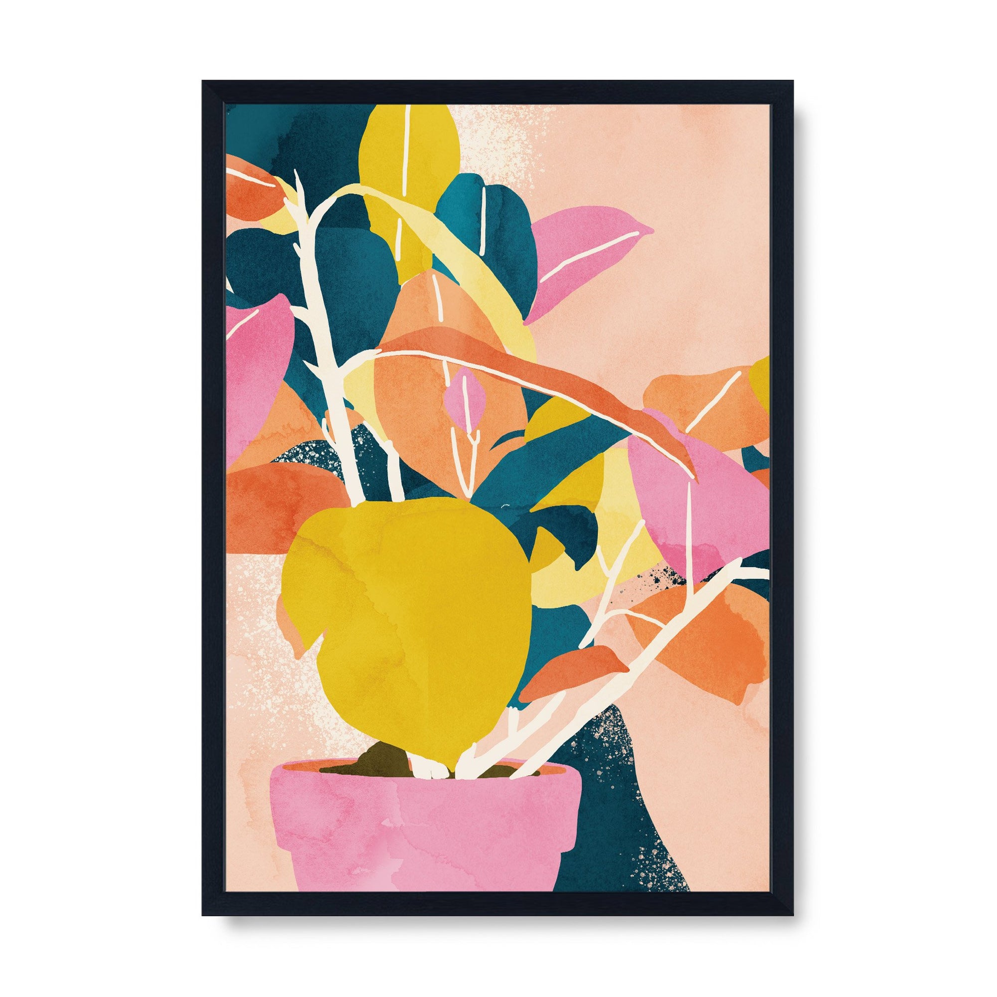 Colours of the Spirit