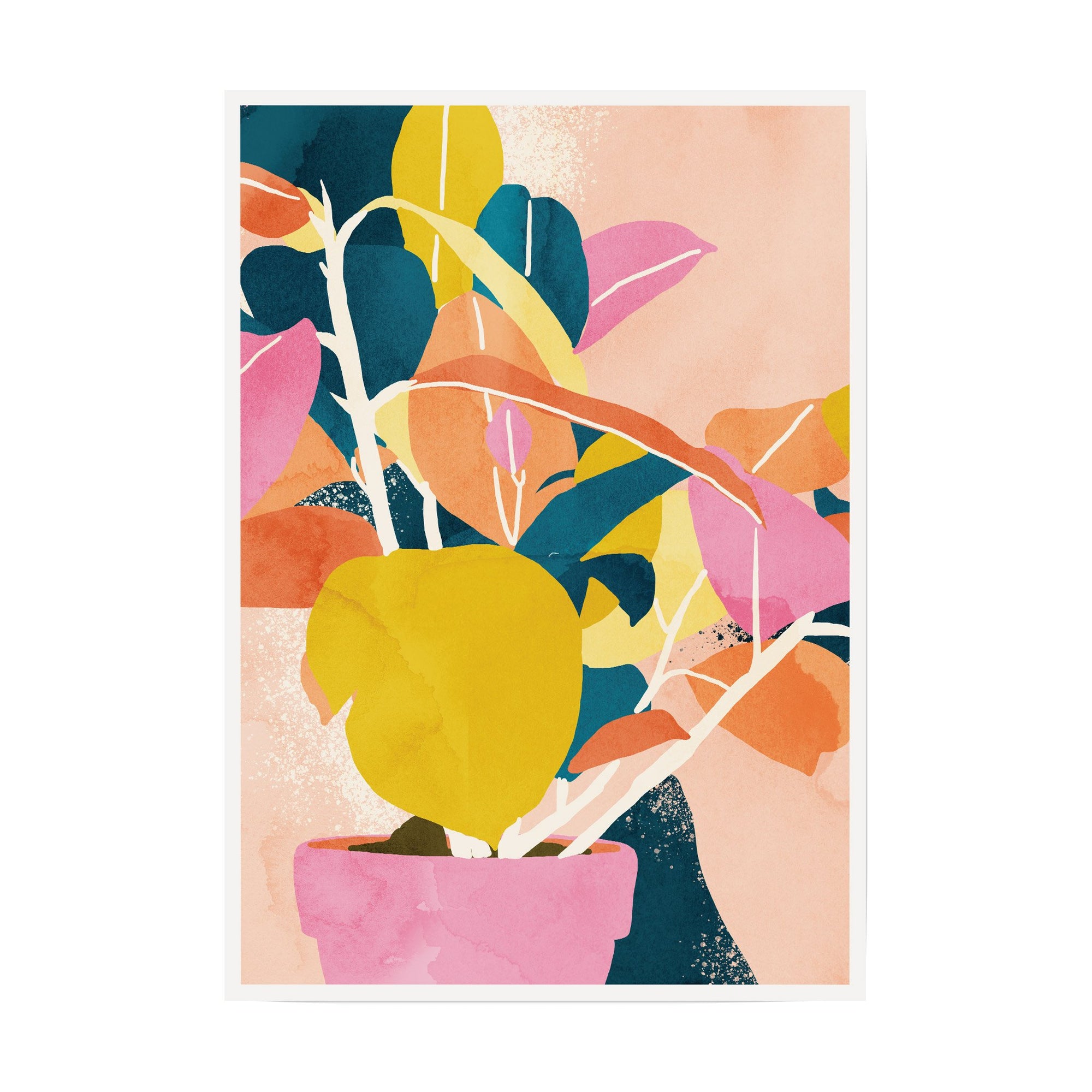 Colours of the Spirit