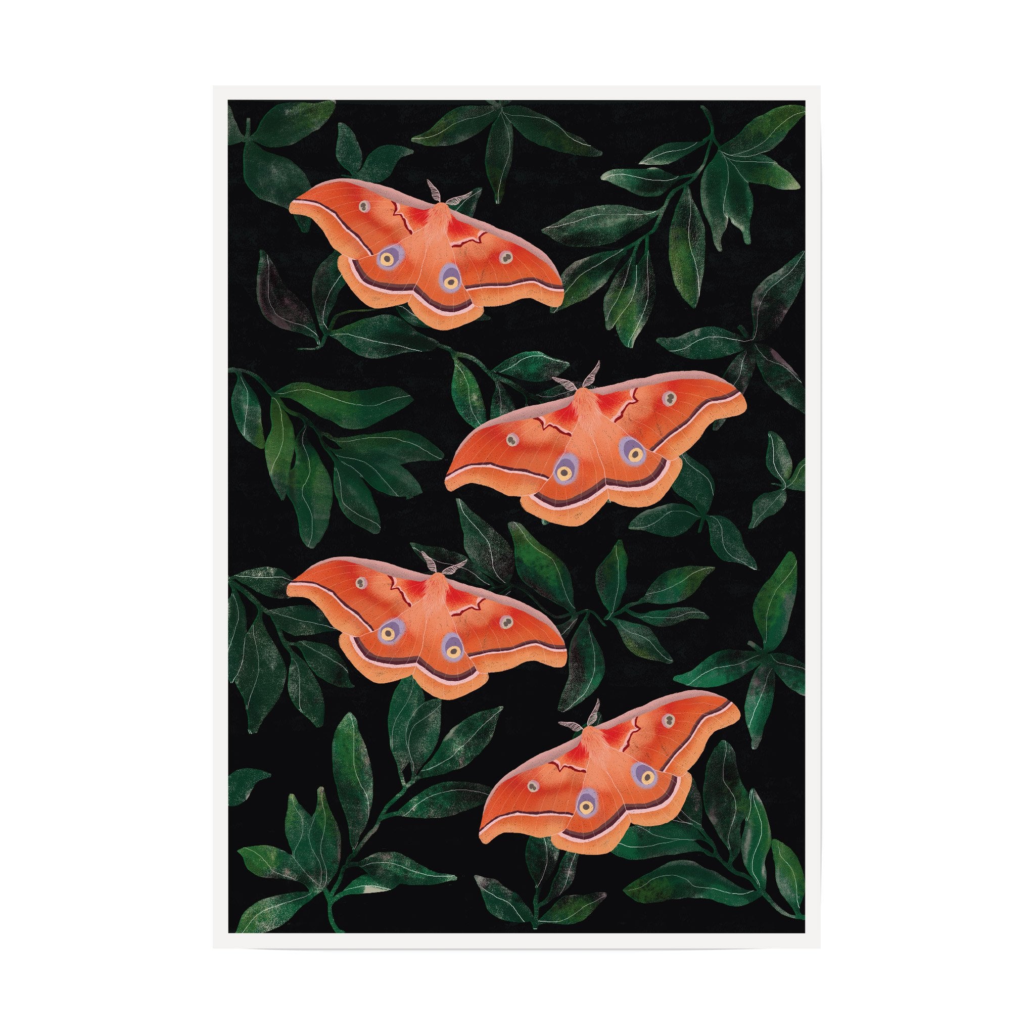 Product Collection for Artist Discount