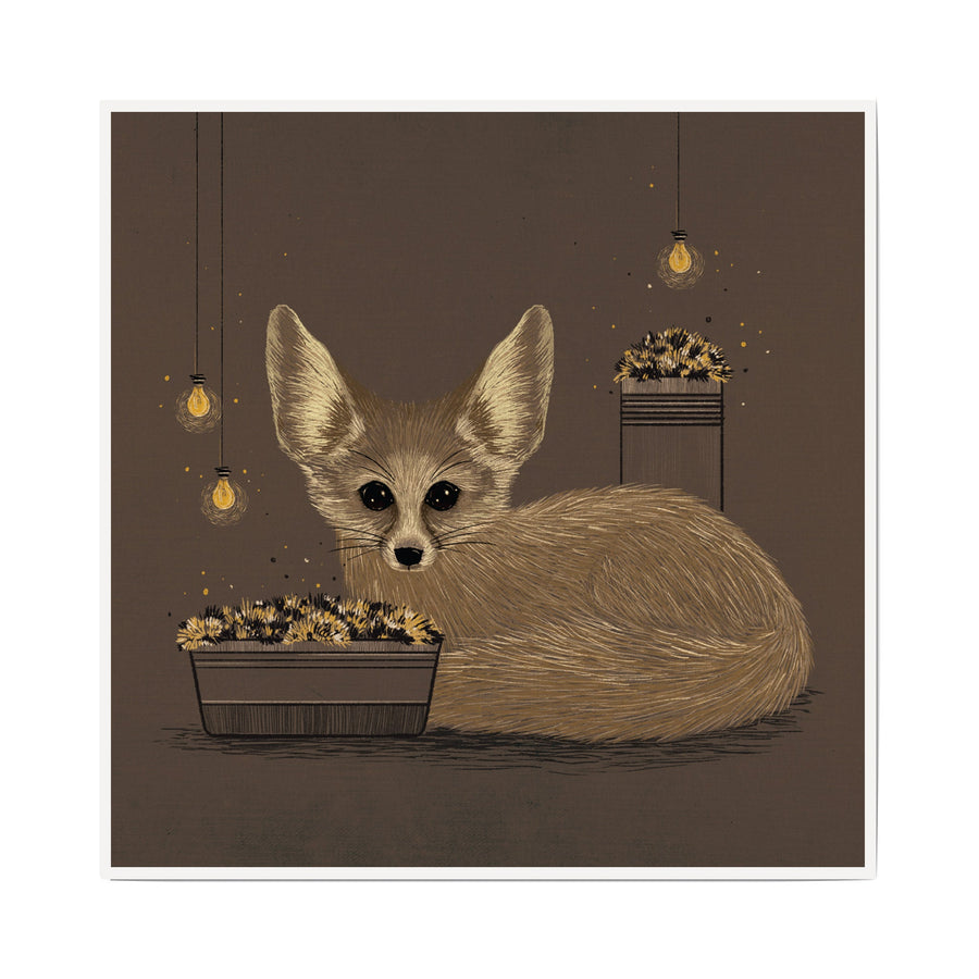 Fennec Fox