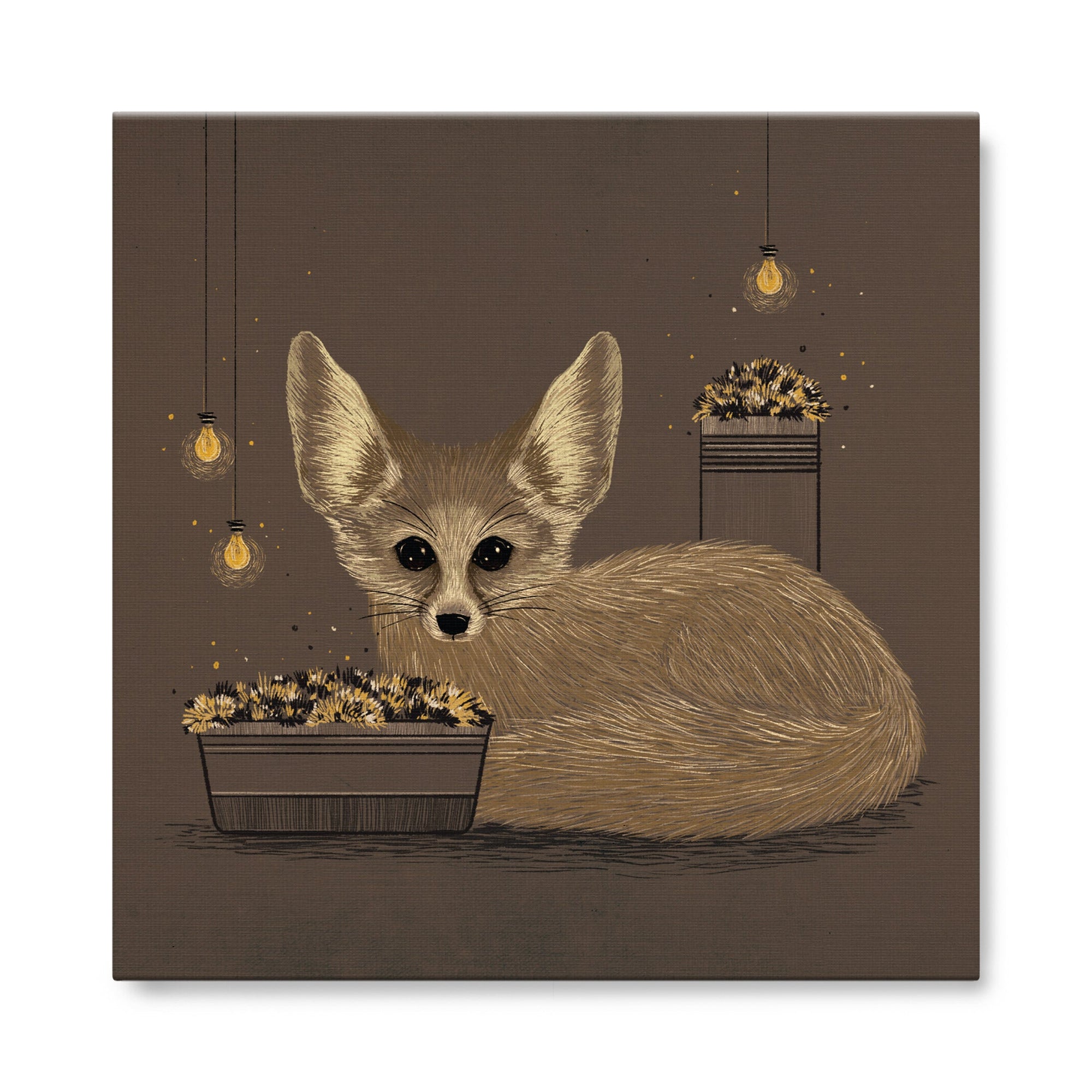Fennec Fox