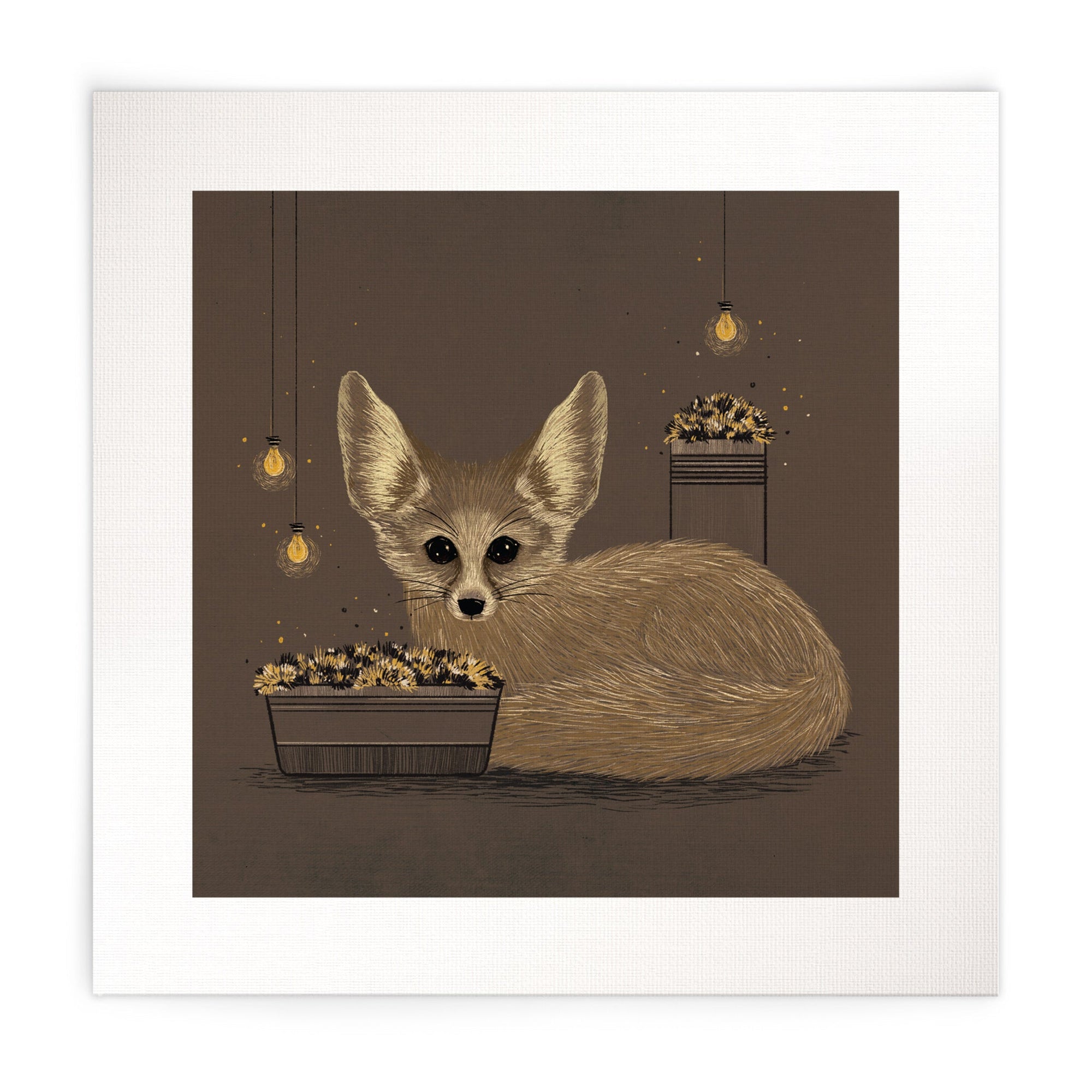 Fennec Fox