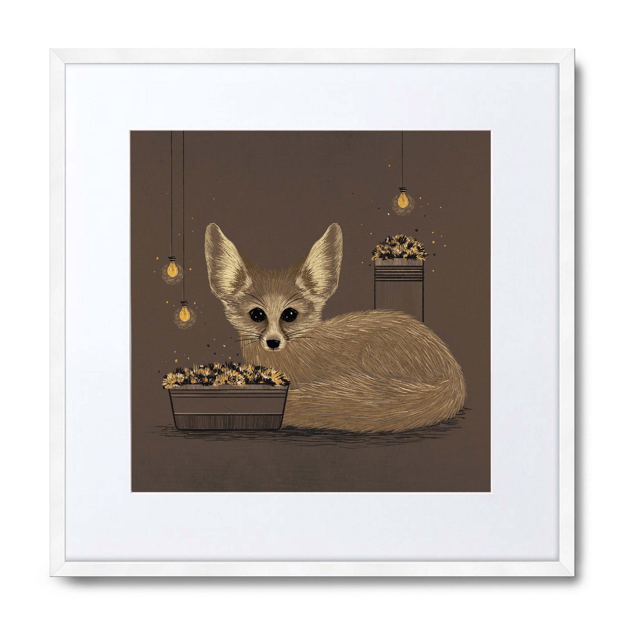 Fennec Fox