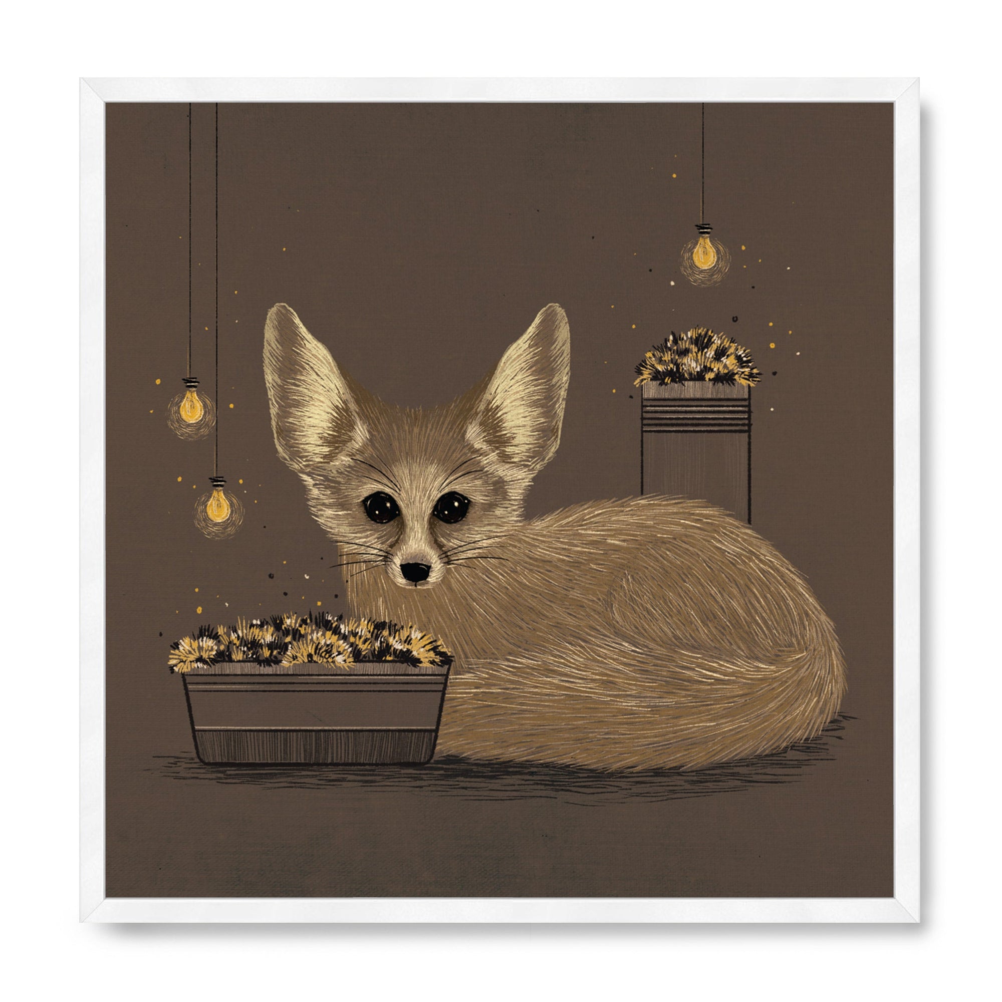 Fennec Fox