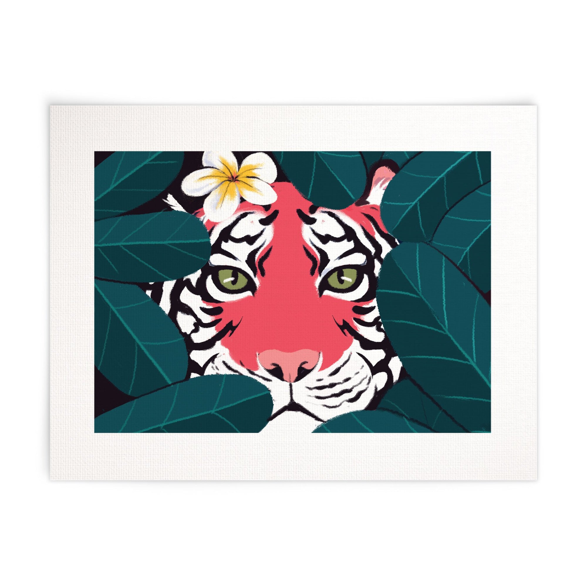 Frangipani Tiger