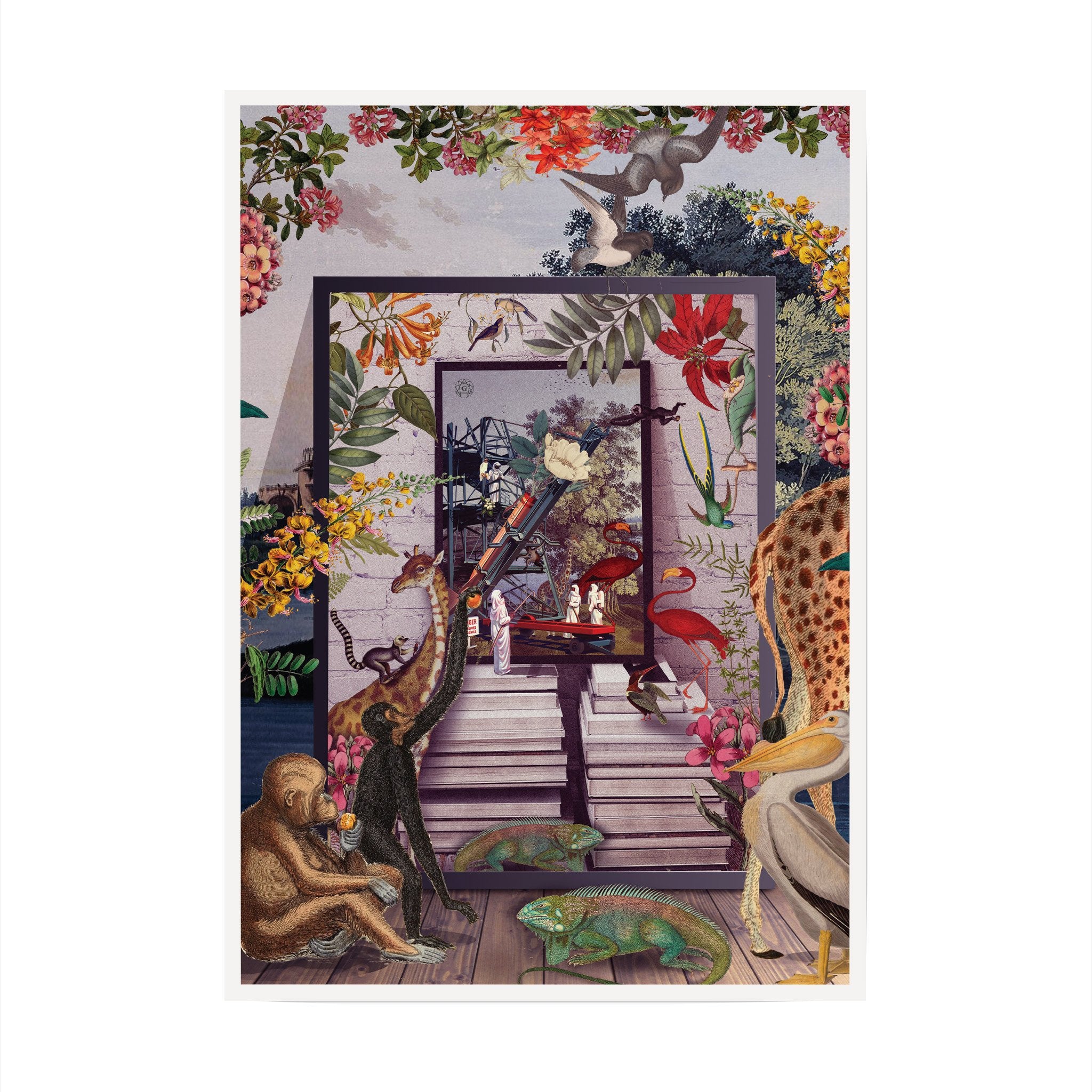 NATURE A4 Curated Picks - Guaranteed