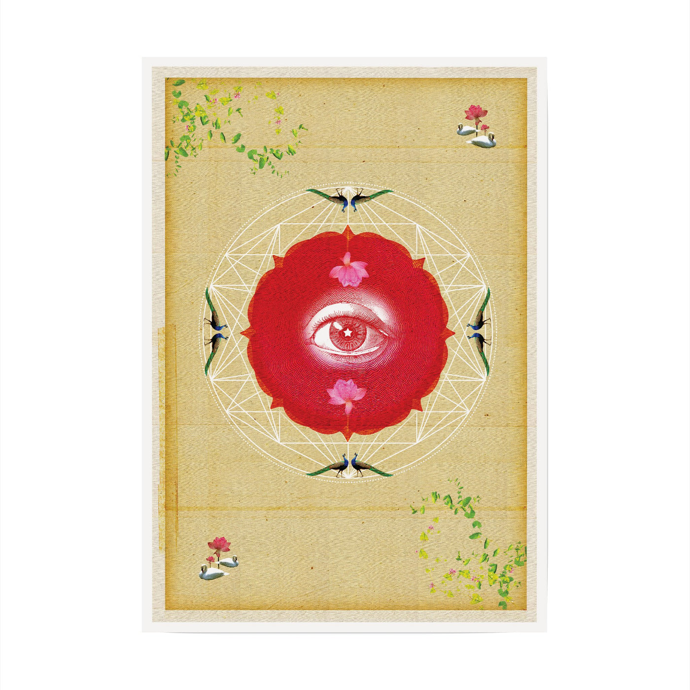 Nakshatra