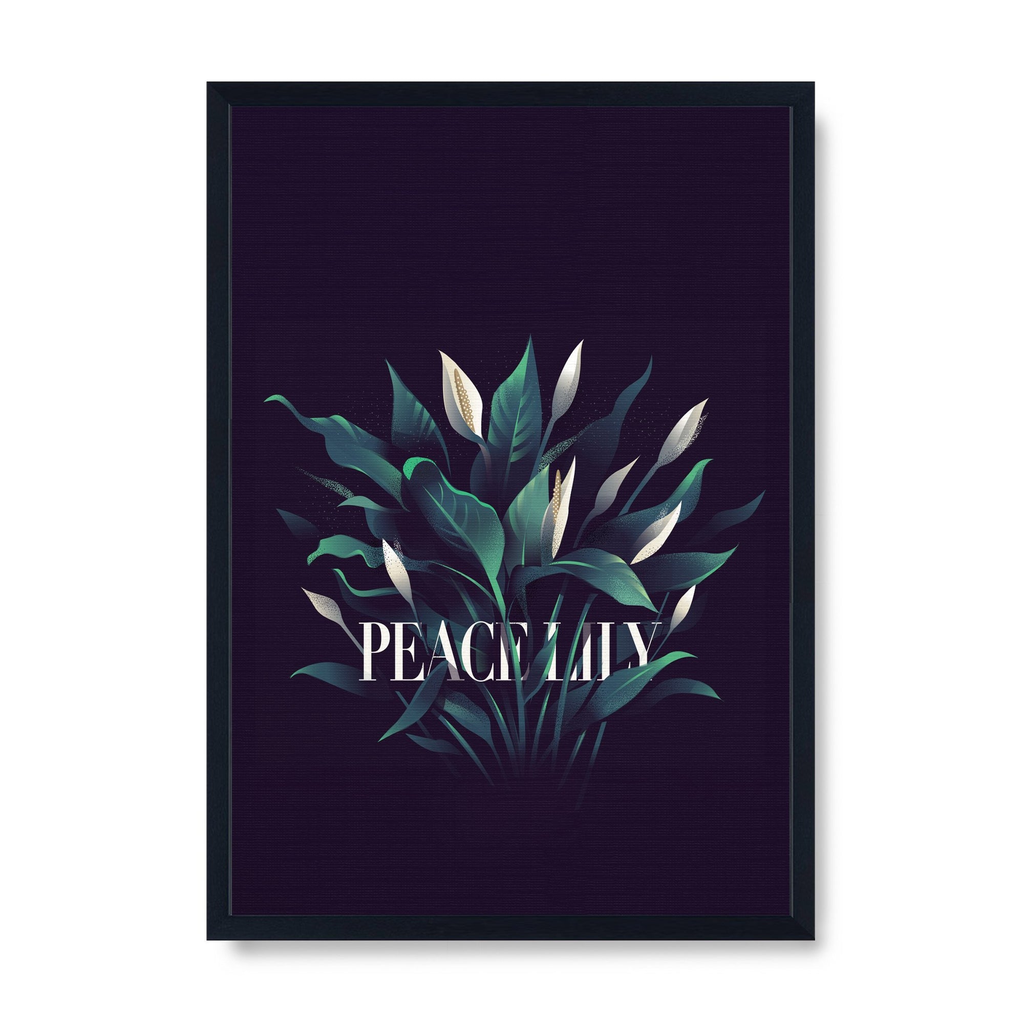 Peace Lily