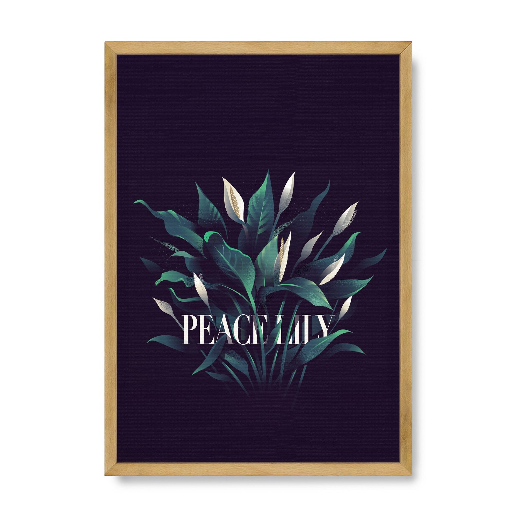 Peace Lily