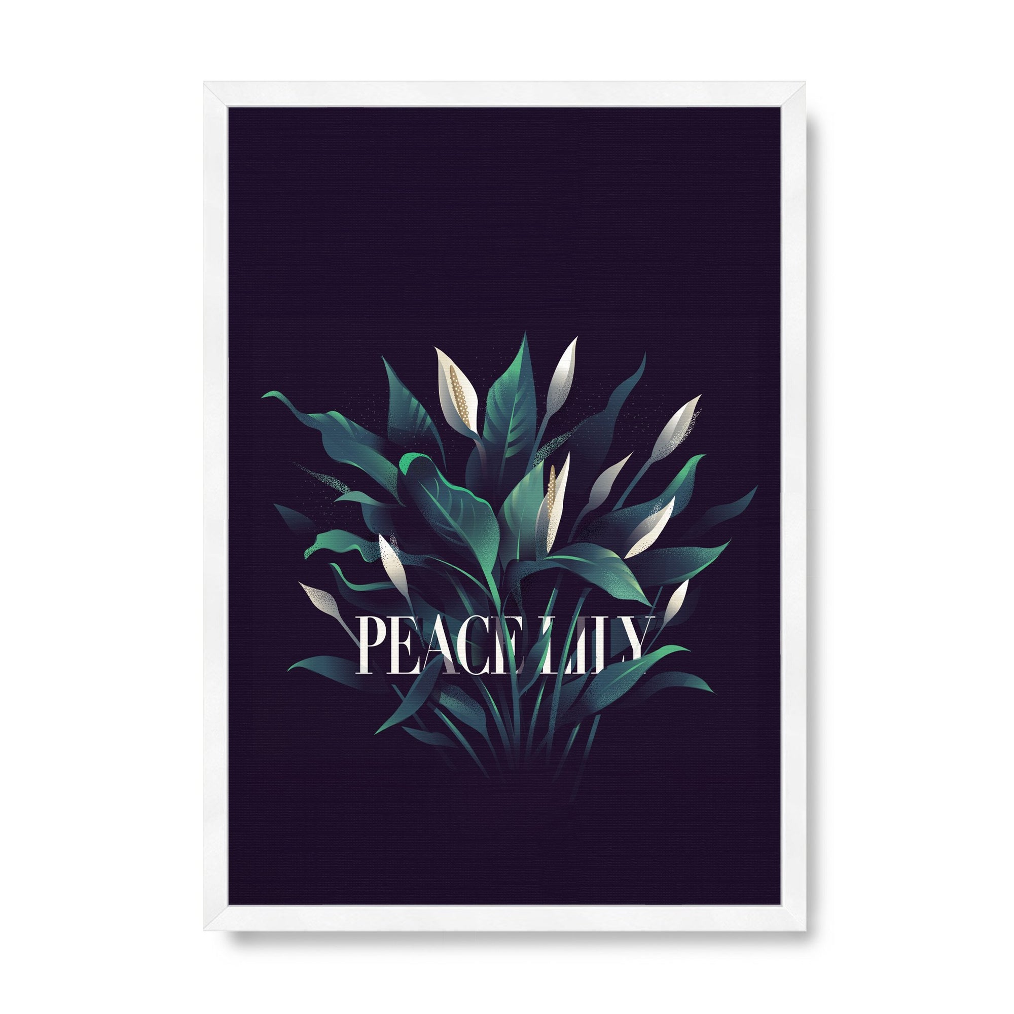 Peace Lily